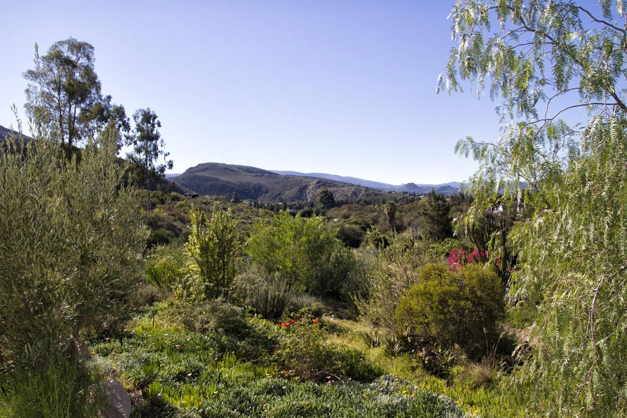 Garden view in Kogman & Keisie Guest Farm