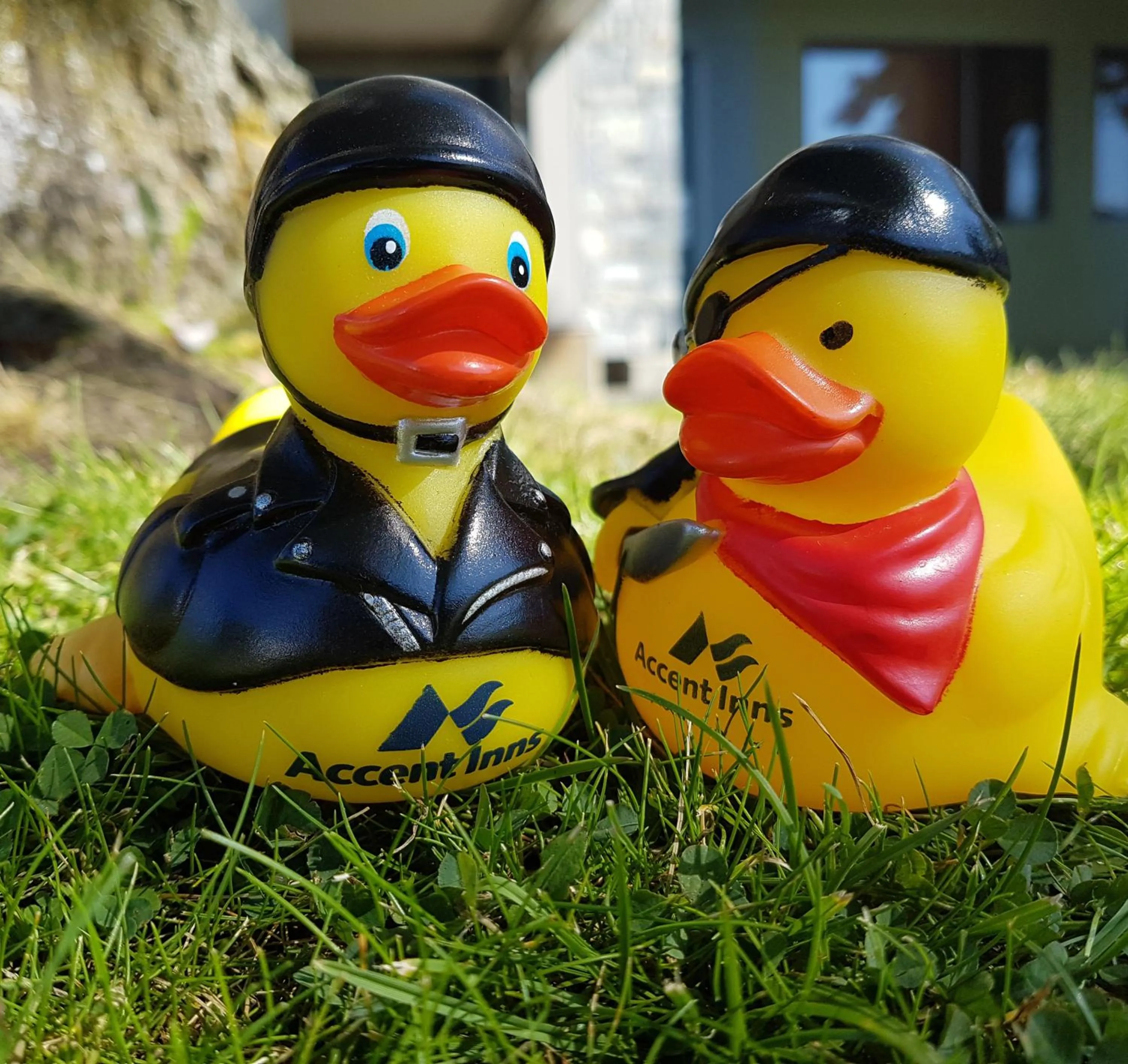 Other in Accent Inns Kamloops