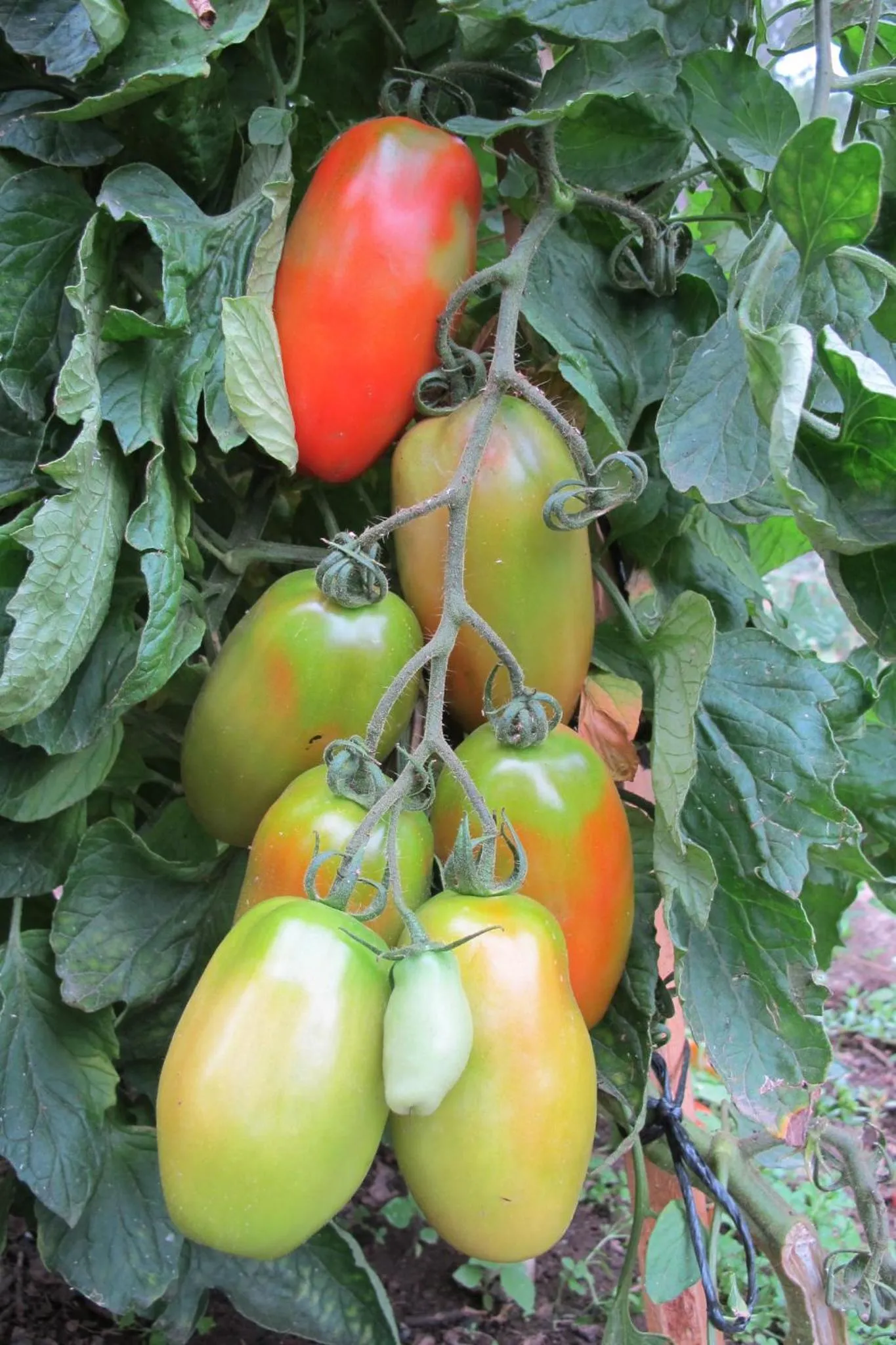 Nearby landmark in Casa Da Urcela