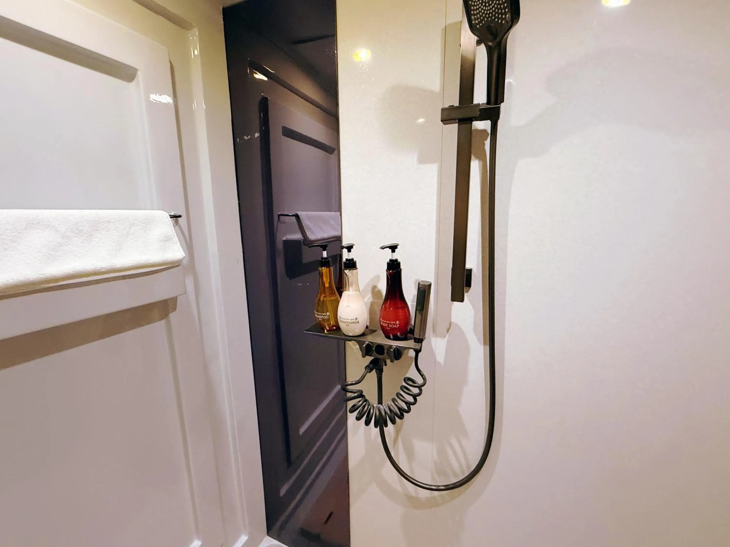 Shower in Hakuba Sun Valley Hotel