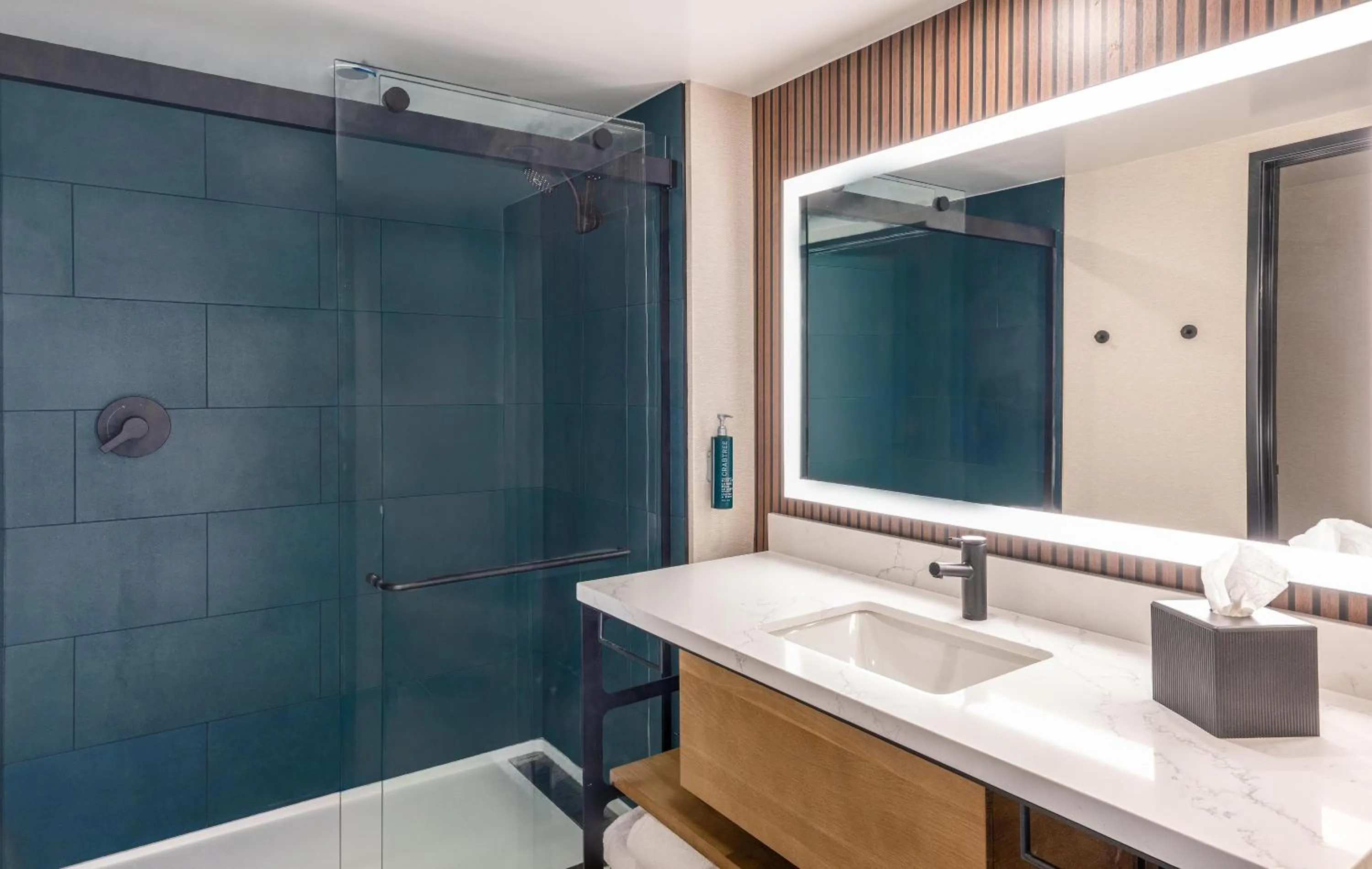 Bathroom in Hilton Phoenix Resort at the Peak