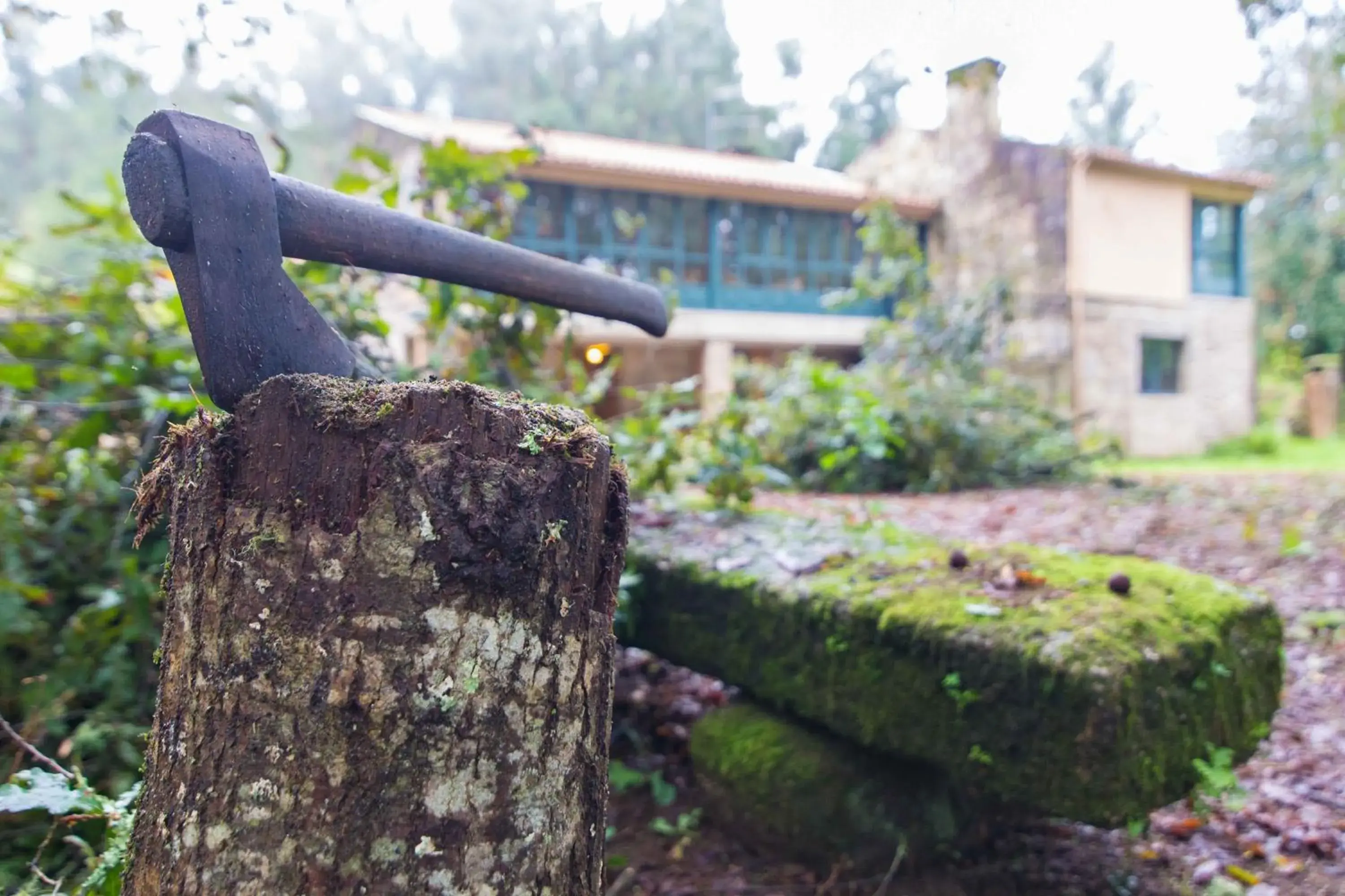 Double Room- No Pets in Casa Do Cribeiro Double Room- No Pets in Casa Do Cribeiro