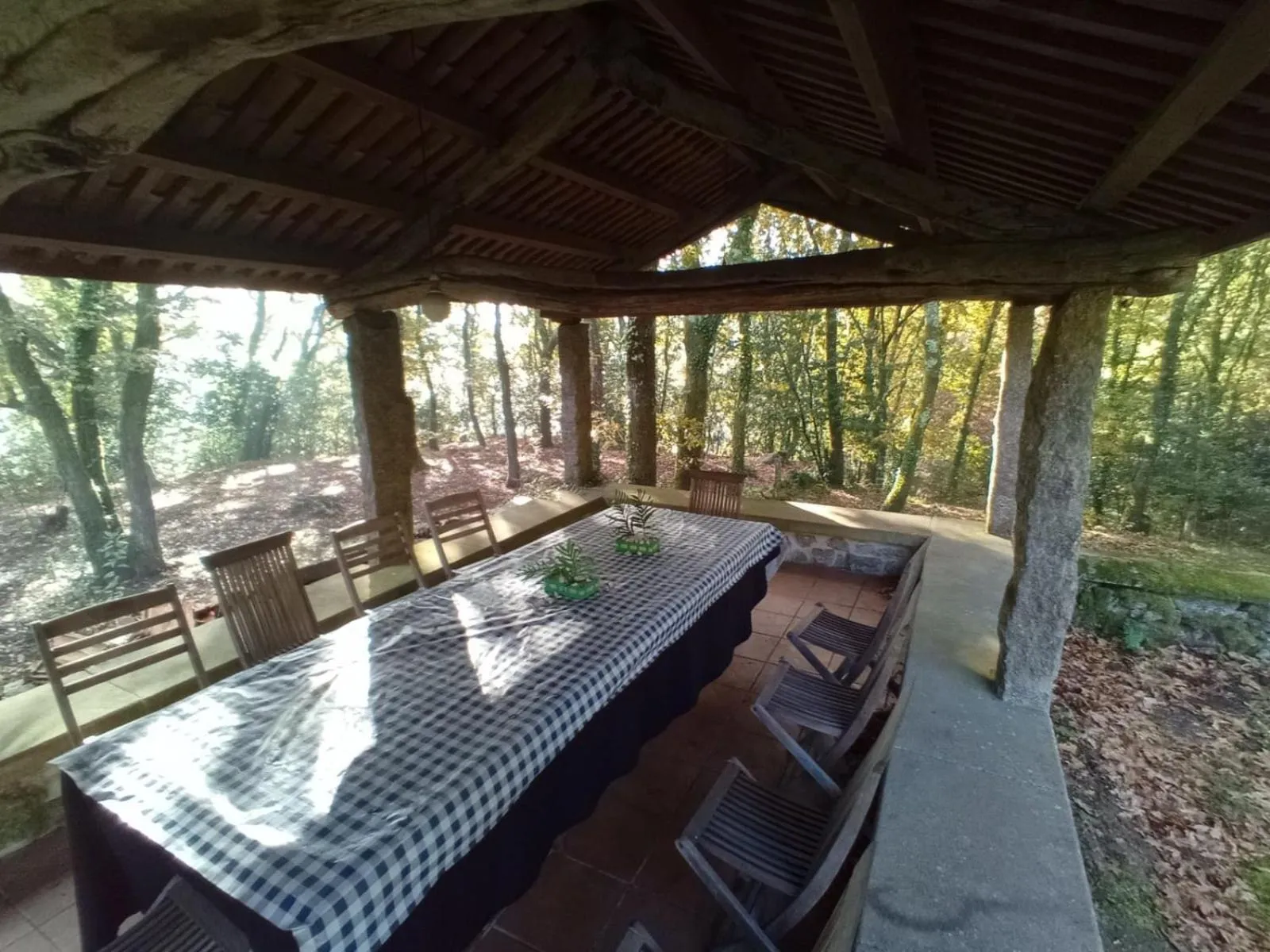 Garden in Casa Do Cribeiro