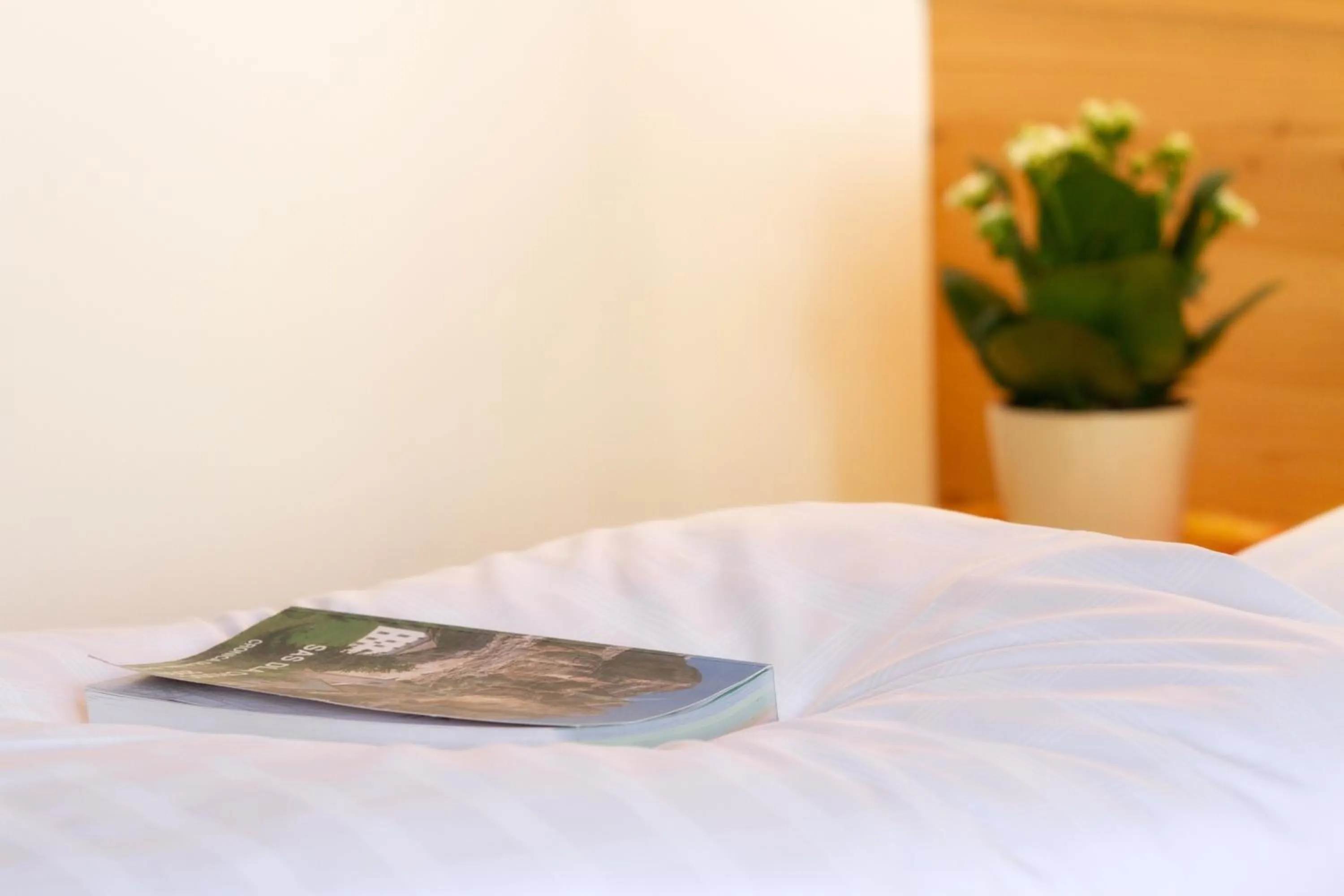 Bed in Hotel Antermoia