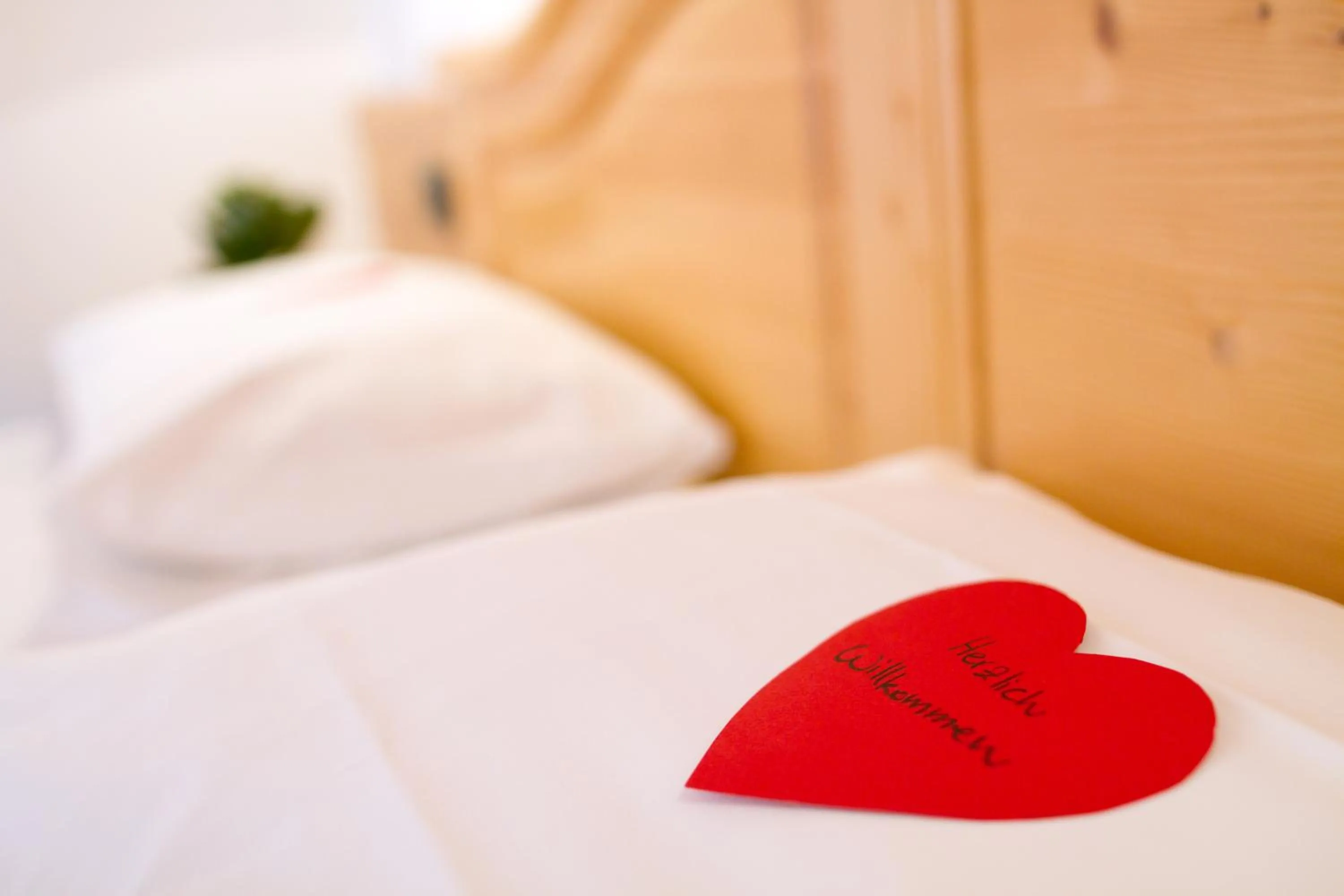 Bed in Hotel Antermoia