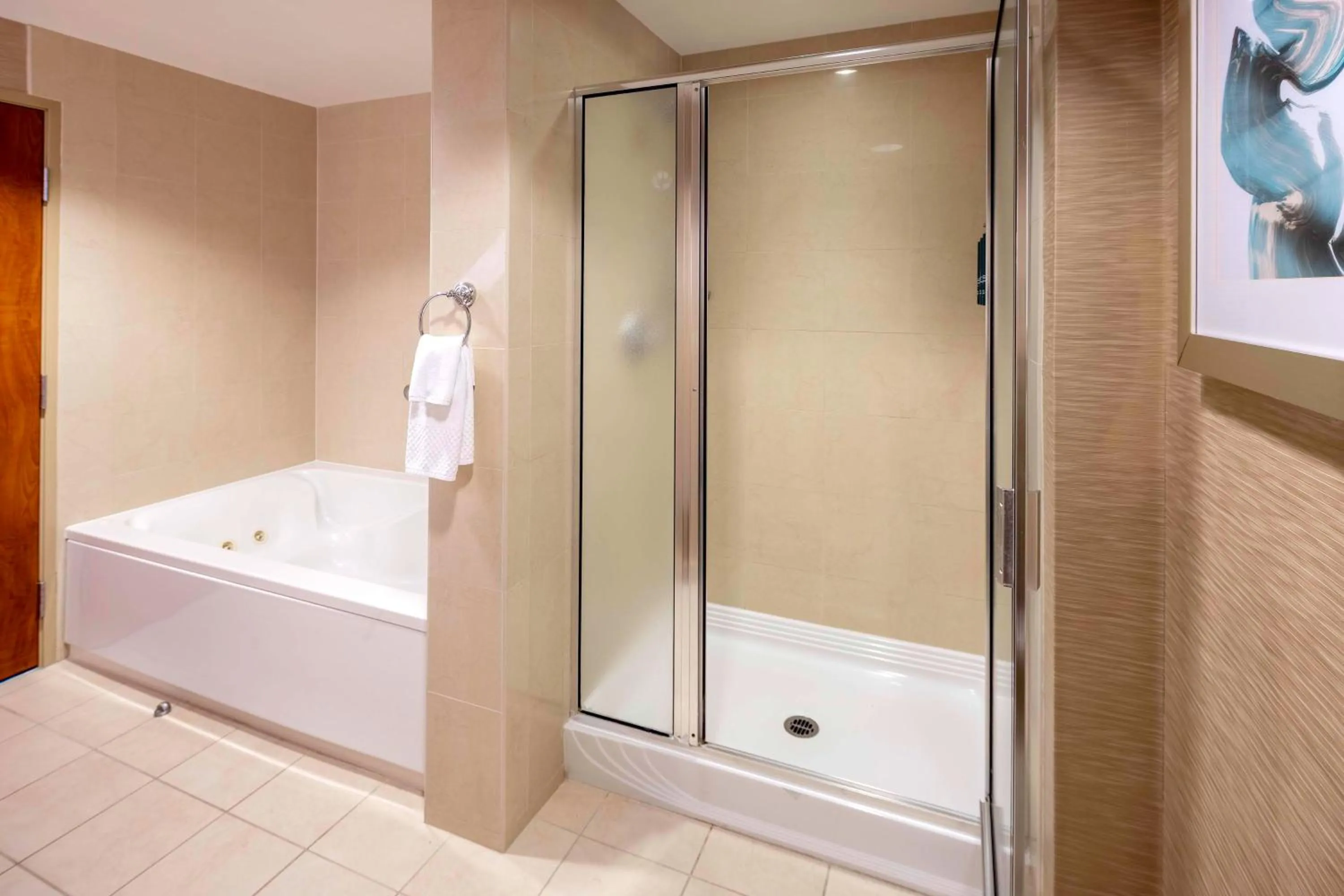 Bathroom, Bed in Hilton St. Petersburg Carillon Park