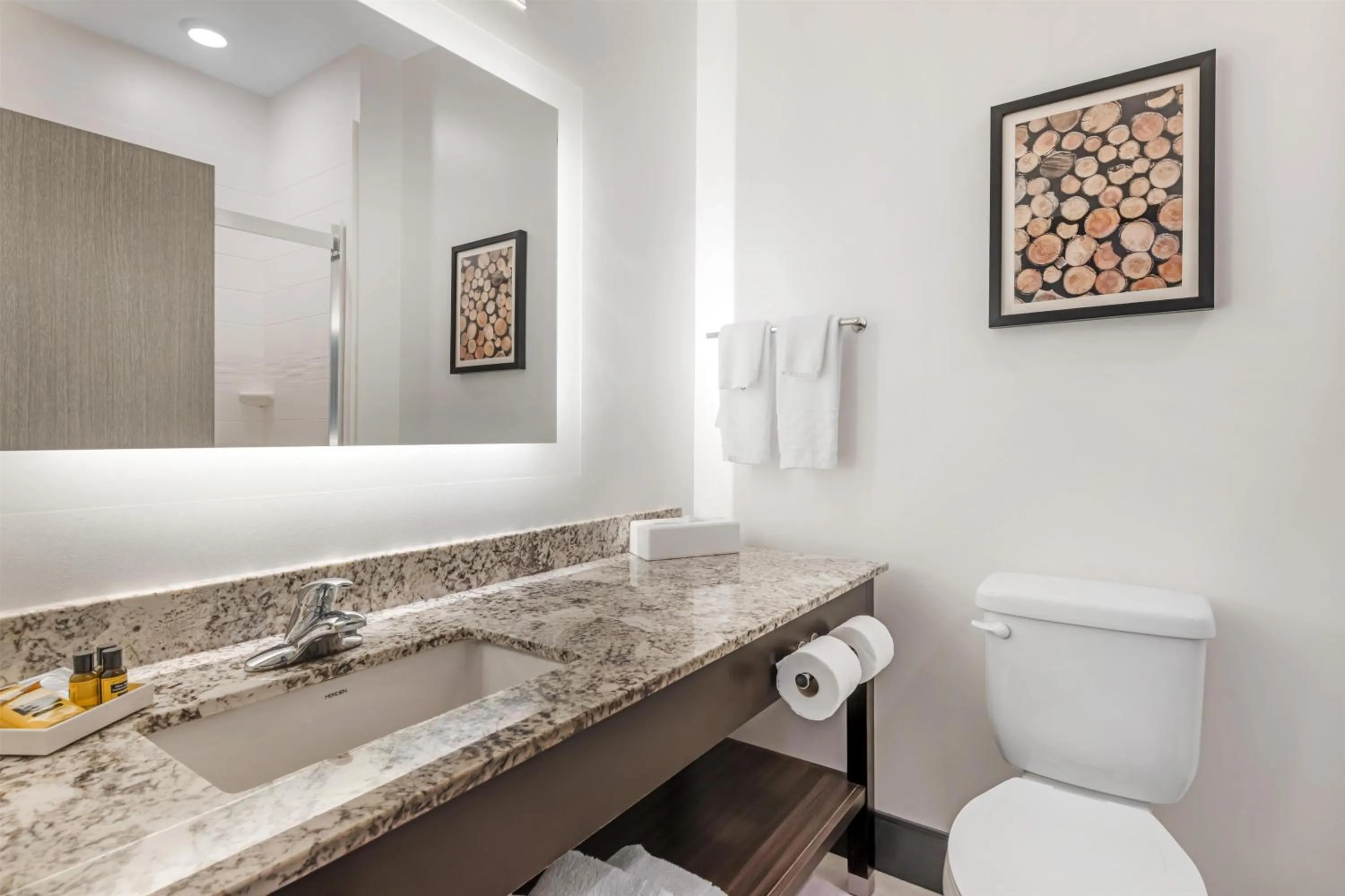 Bathroom in Best Western Plus Isanti