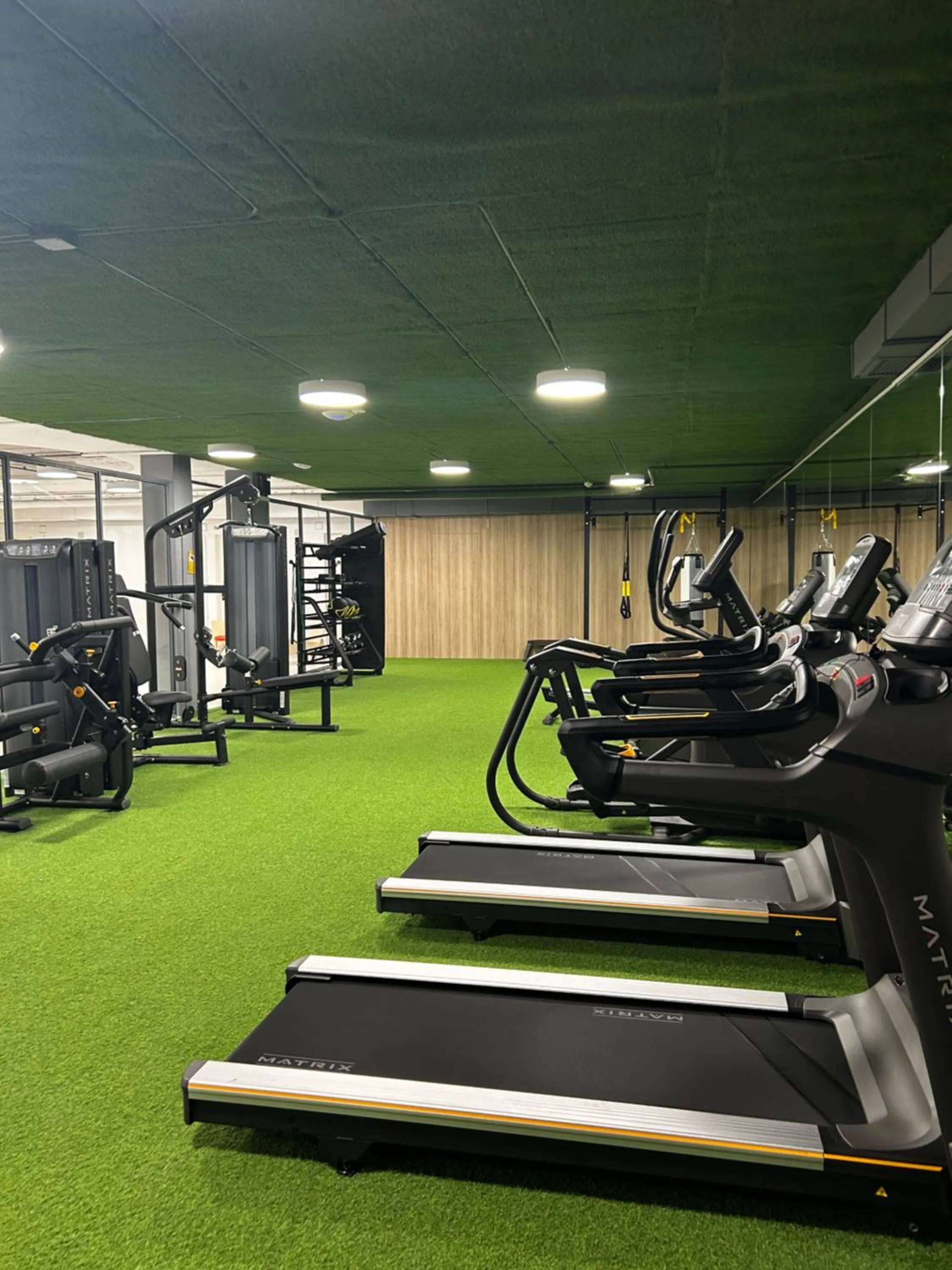 Fitness centre/facilities in Apartahotel & Spa Jacetania