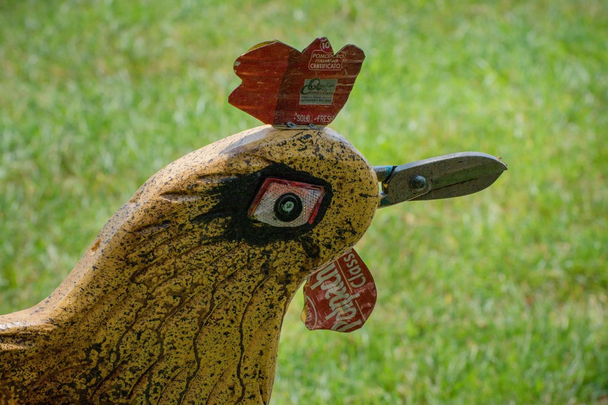 Day in Rooster Guesthouse Rooms