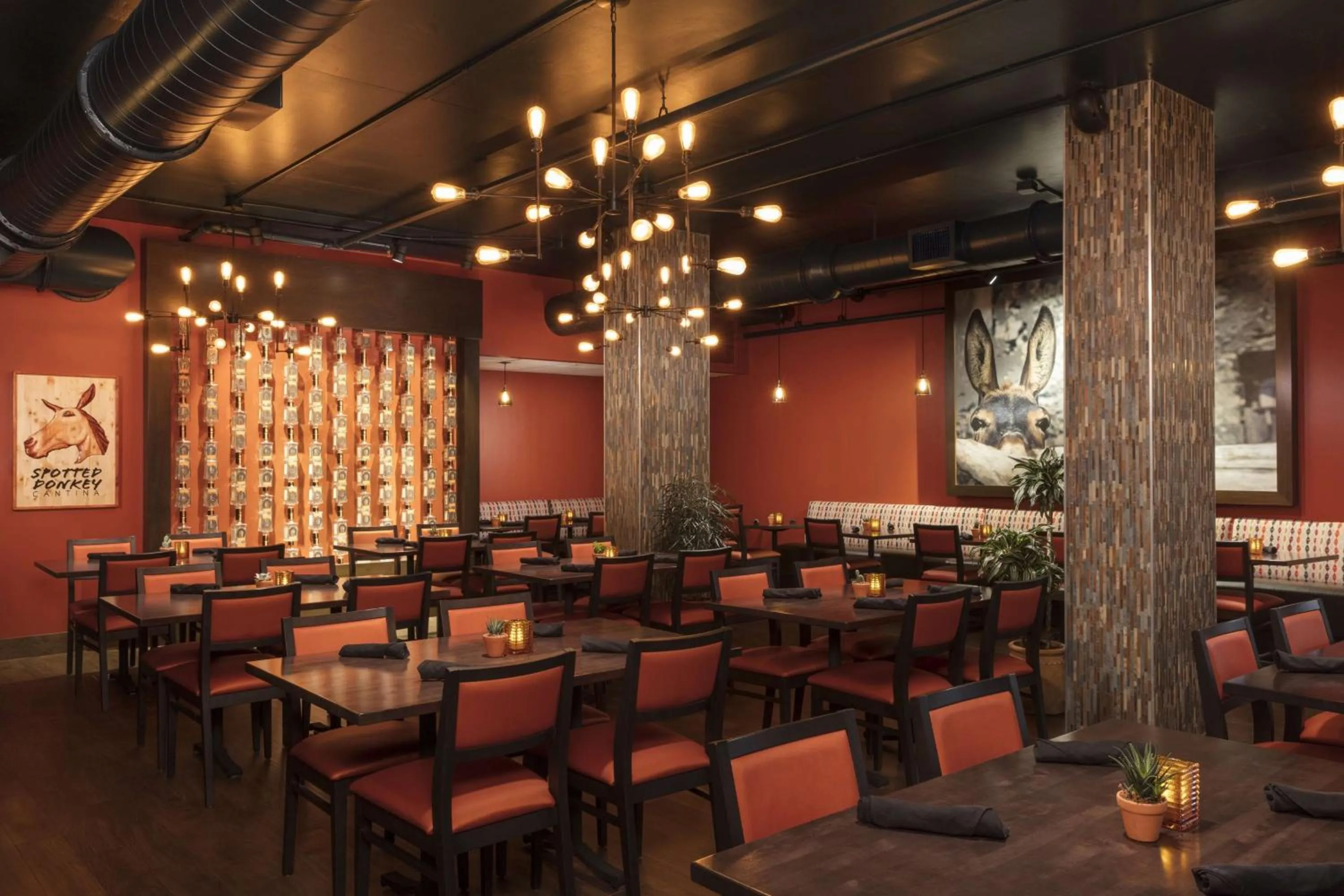 Restaurant/places to eat in Hilton Clearwater Beach Resort & Spa