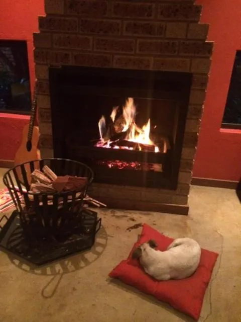 BBQ Facilities in Woodpecker B&B