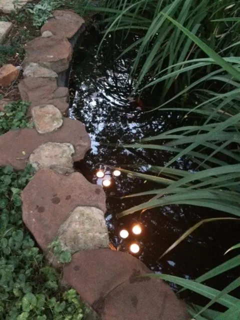 Woodpecker Guesthouse Middelburg Mpumalanga