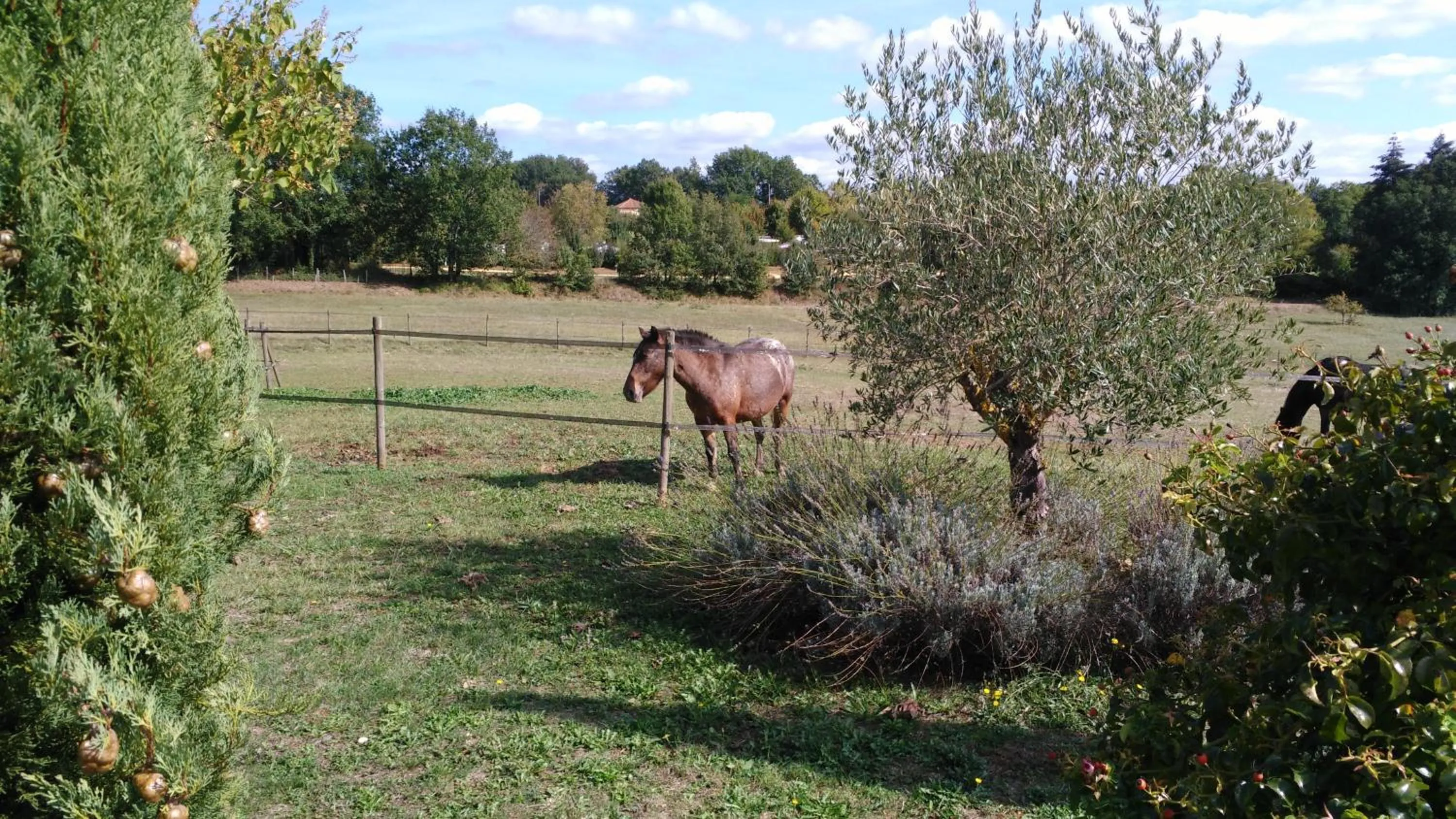 Garden in La Rolandie Haute