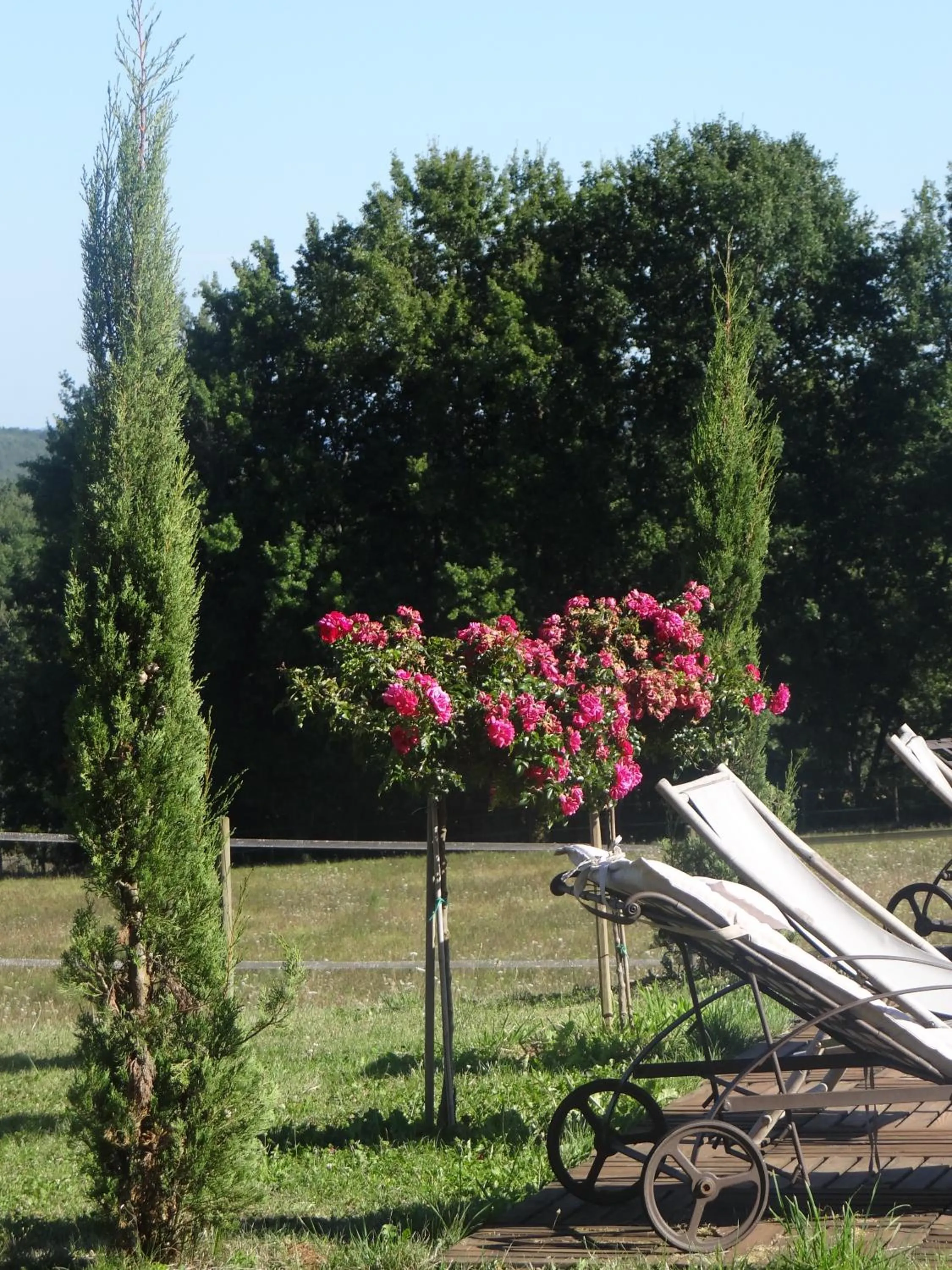Garden view in La Rolandie Haute