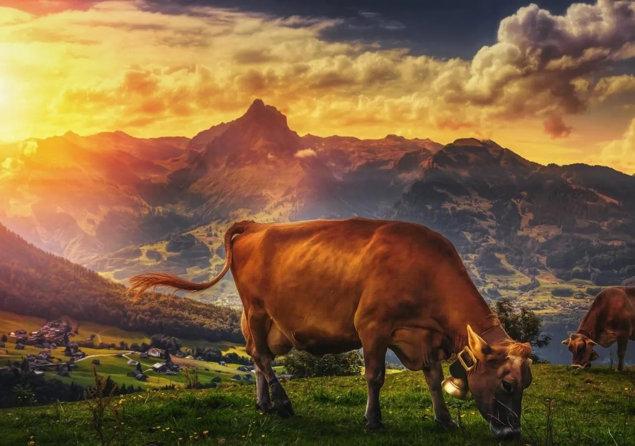 Spring in Hôtel du Soleil