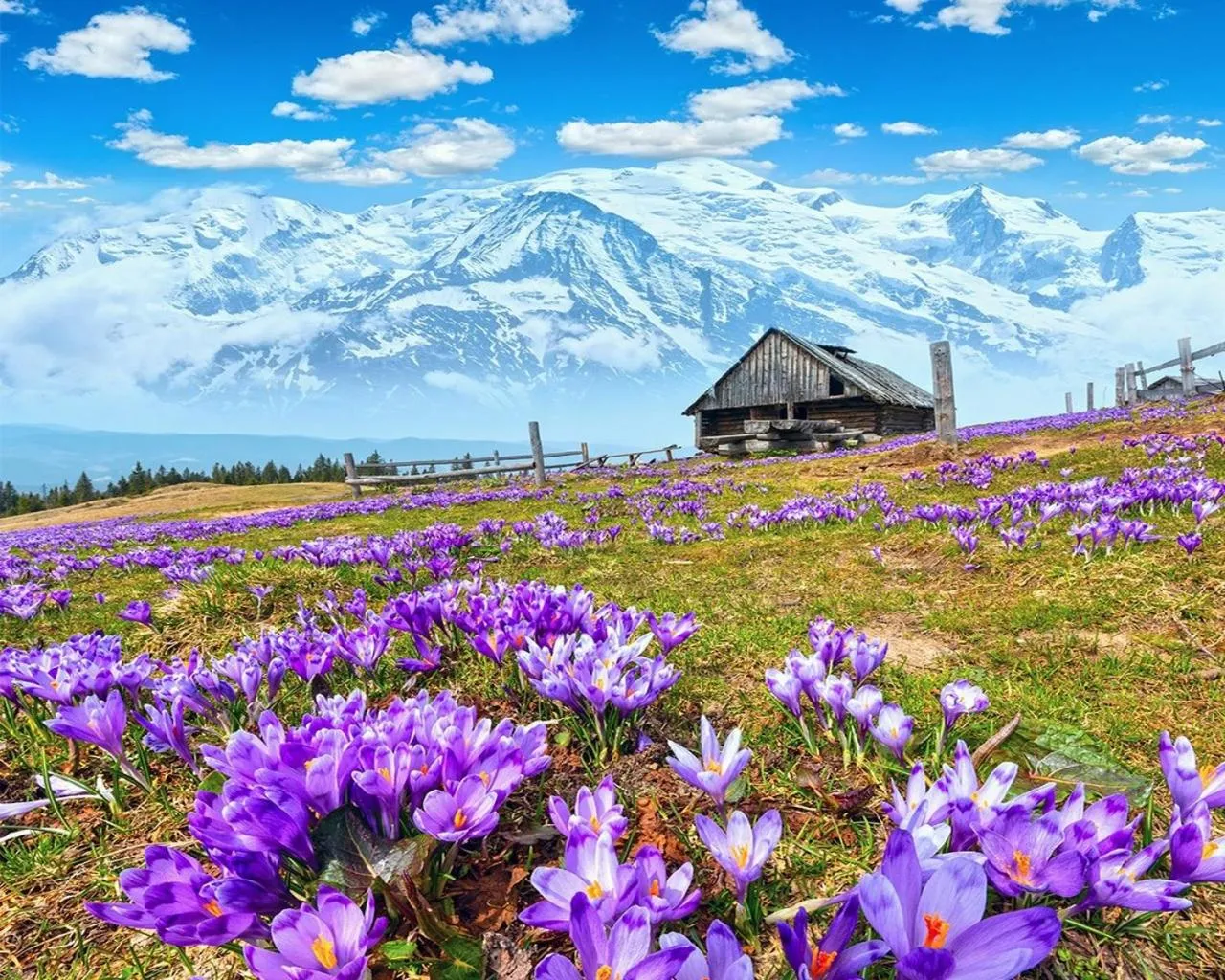 Spring in Hôtel du Soleil