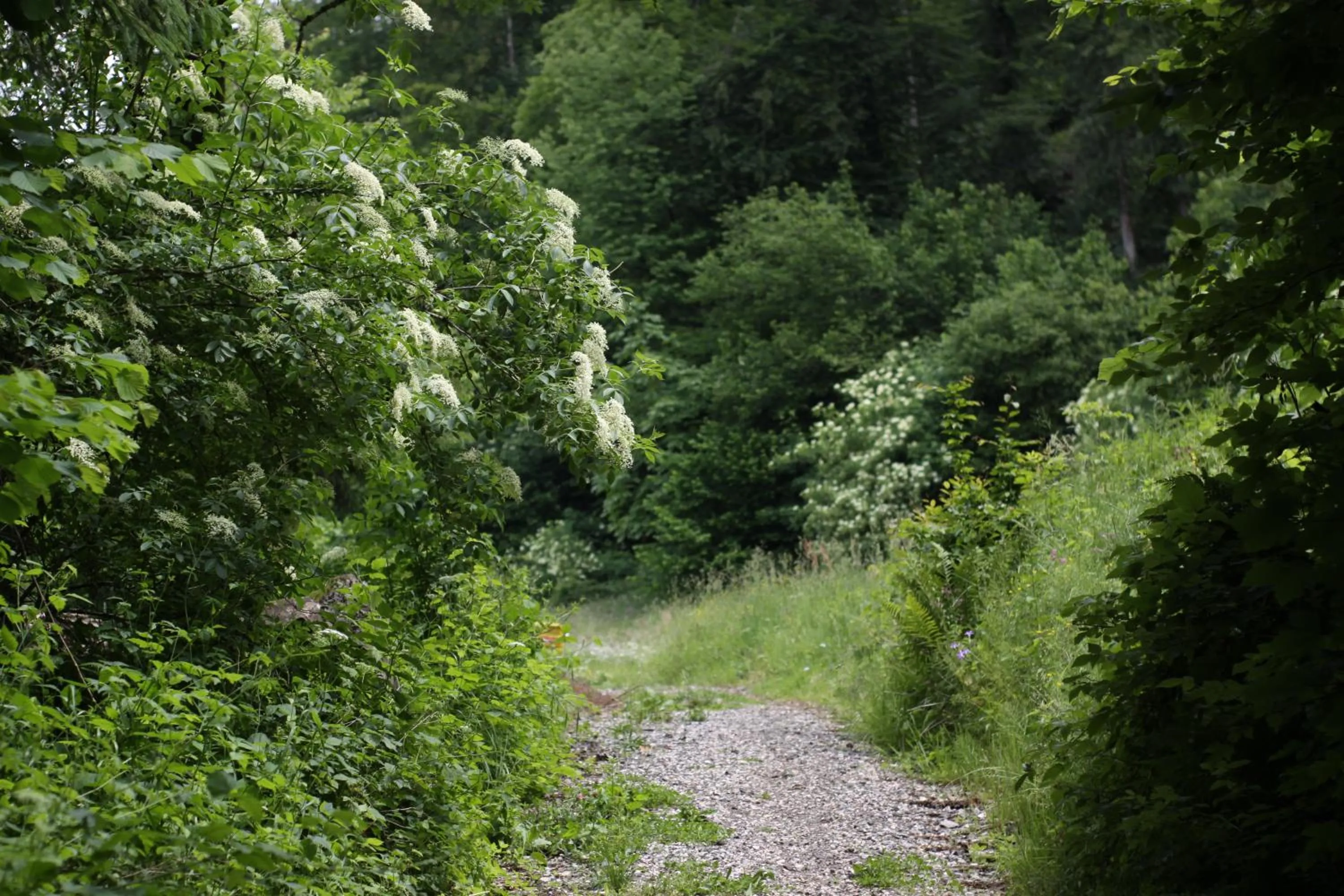 Spring in B&B Pod Skalo