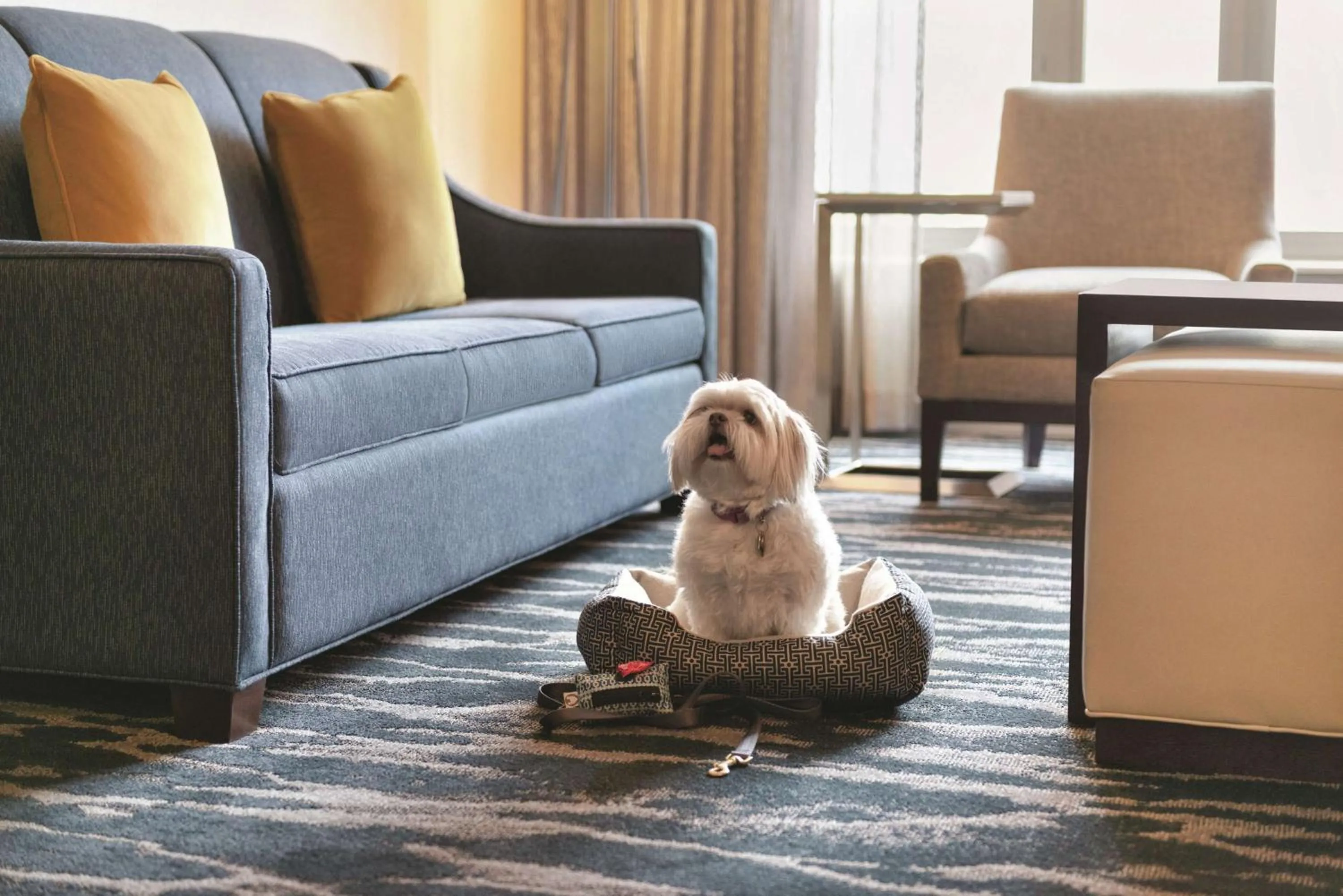 Living room, Pets in Homewood Suites by Hilton-Seattle Convention Center-Pike Street
