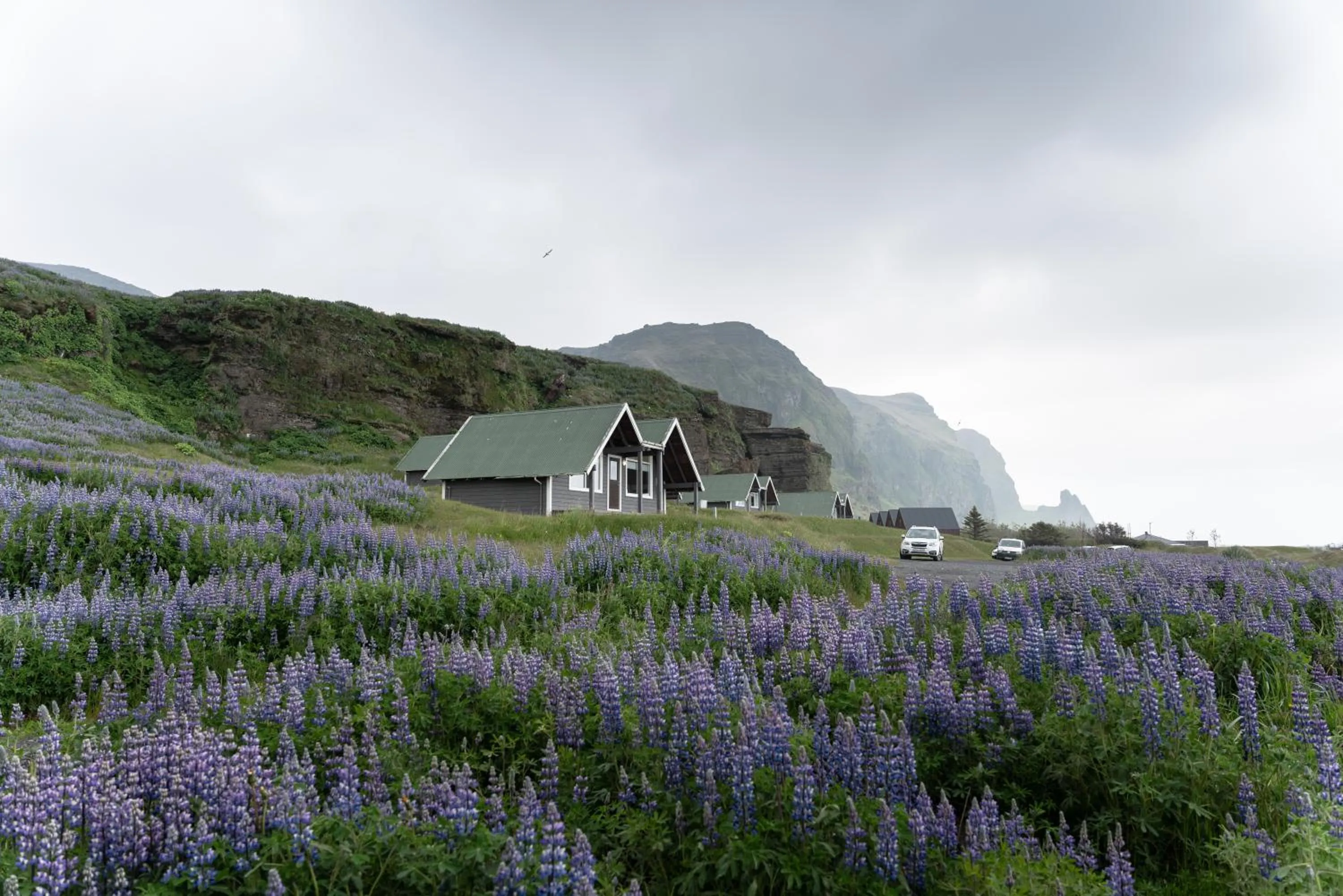 Property building in Vík Cottages