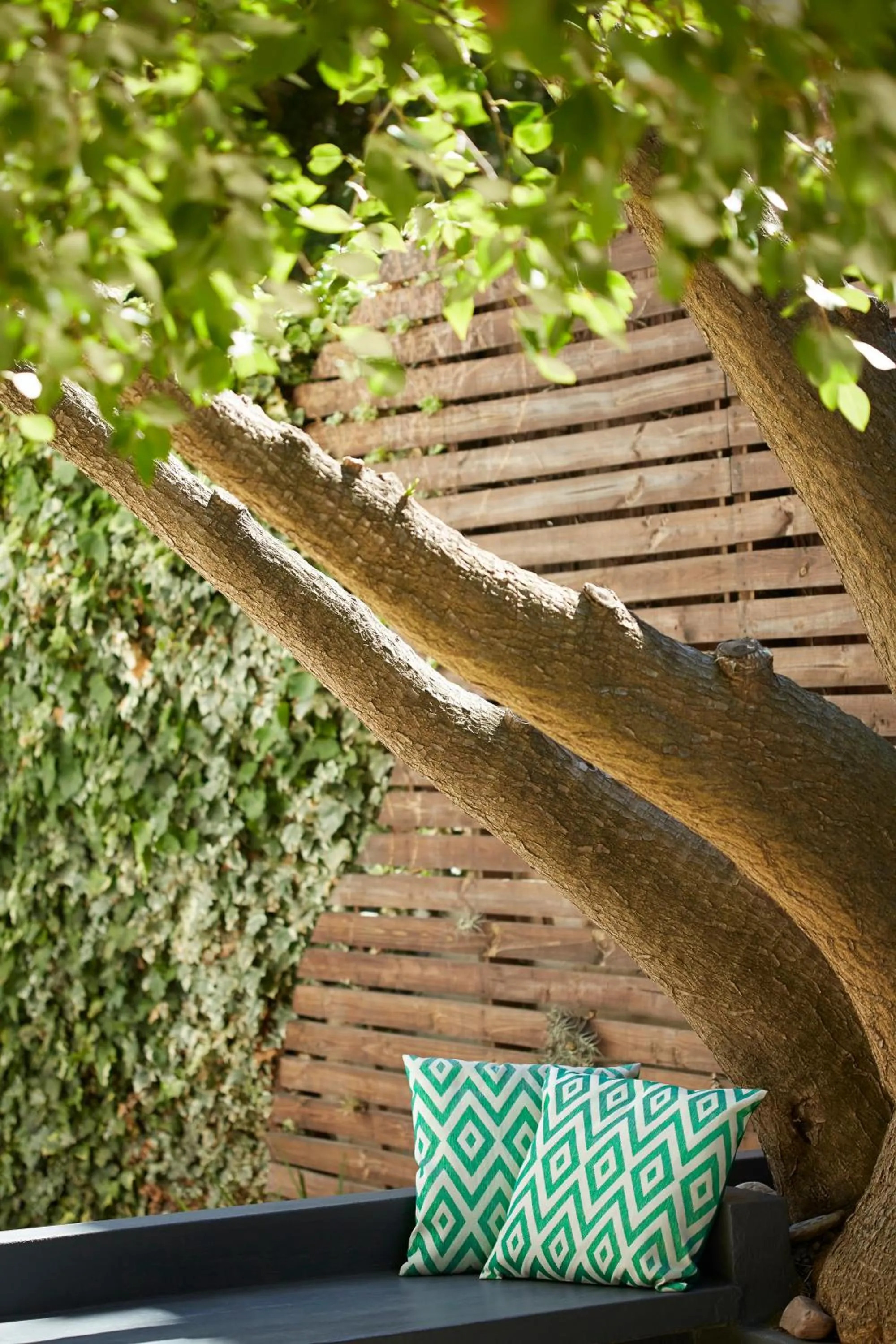 Garden in Bayflowers Guest House