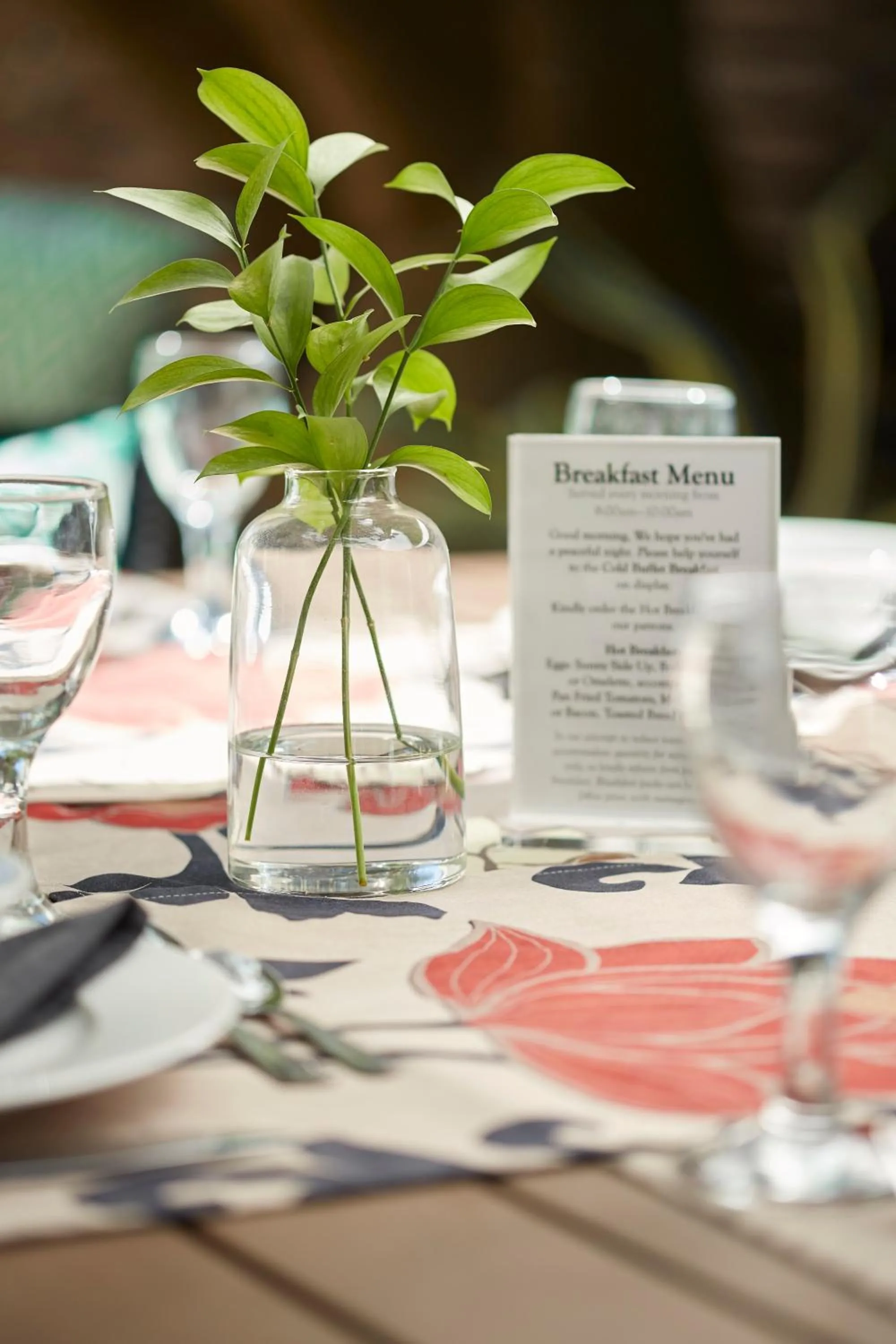 Garden in Bayflowers Guest House