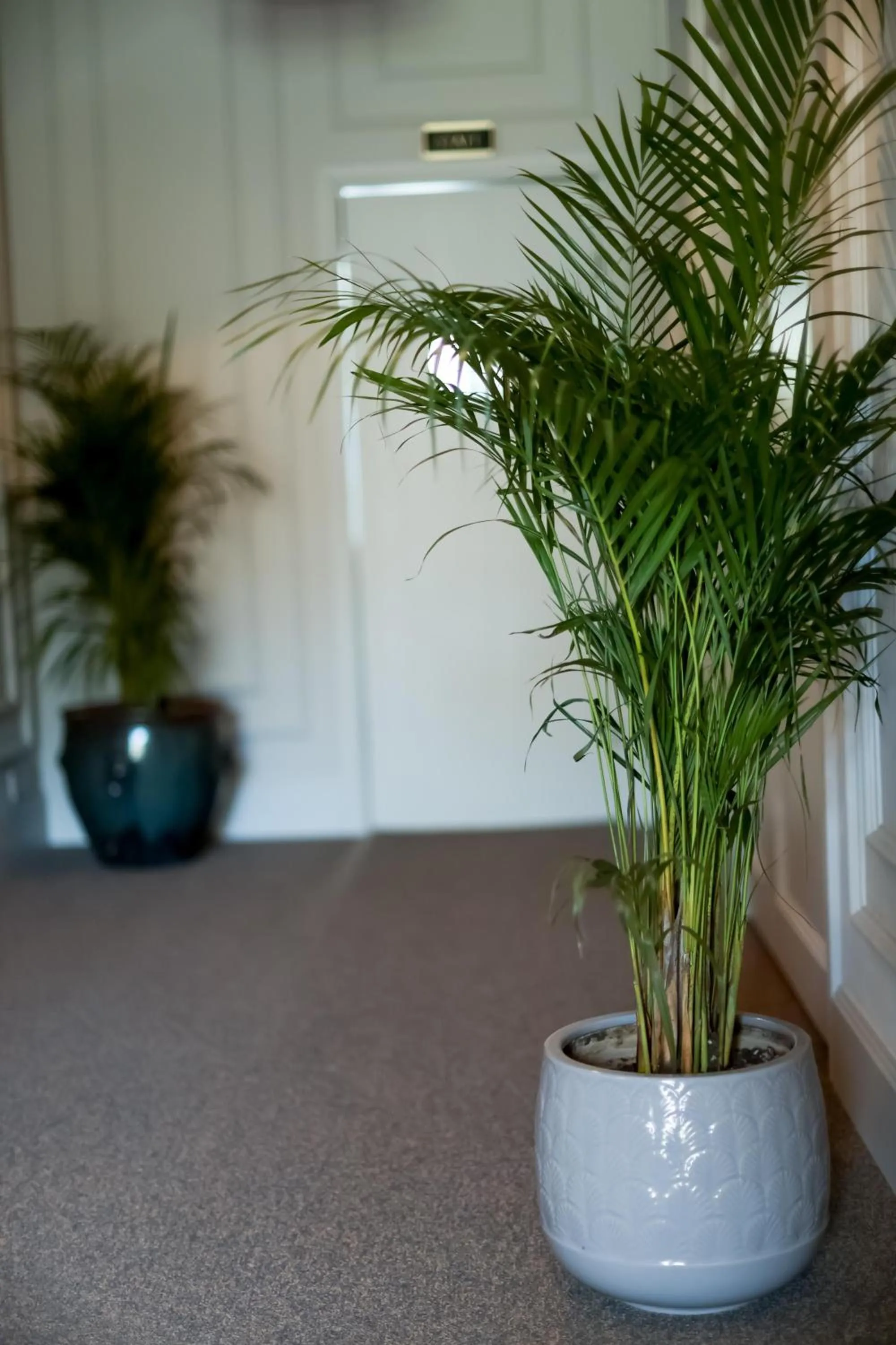 Facade/entrance in Padam Boutique Hotel