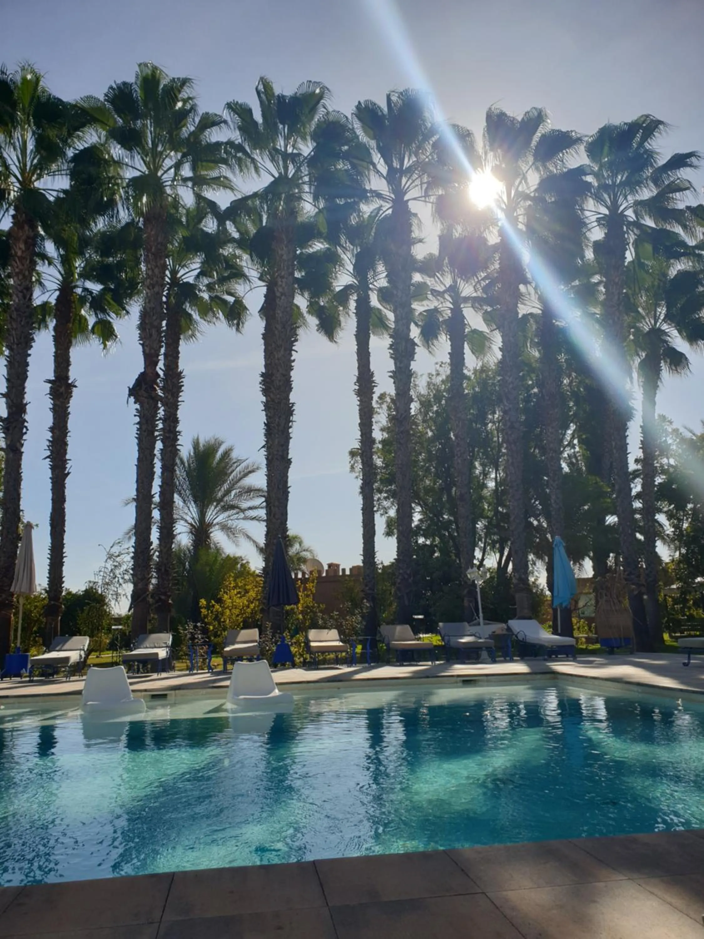 Garden view in Casa Taos