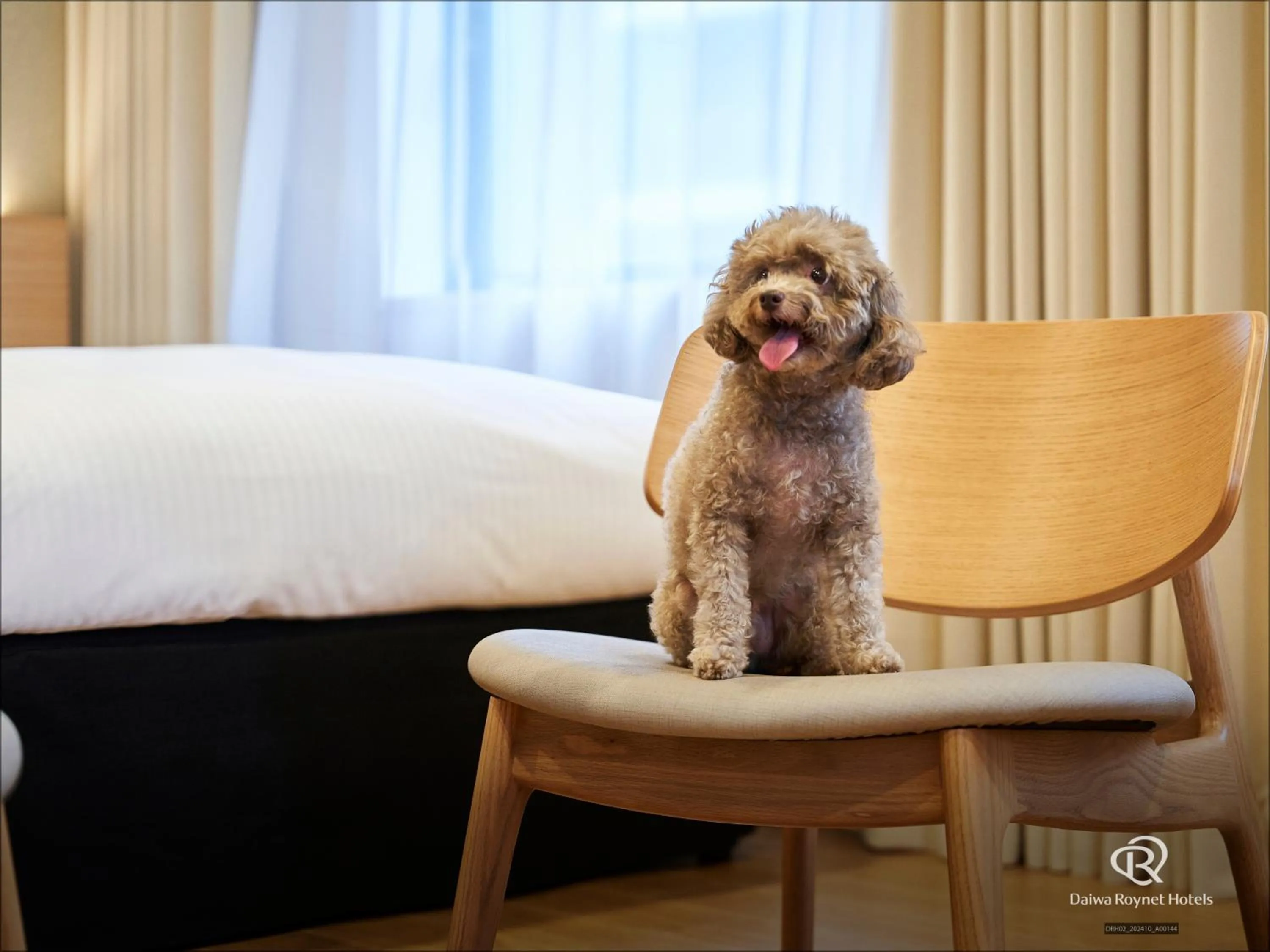 Daiwa Roynet Hotel Yokohama-Koen