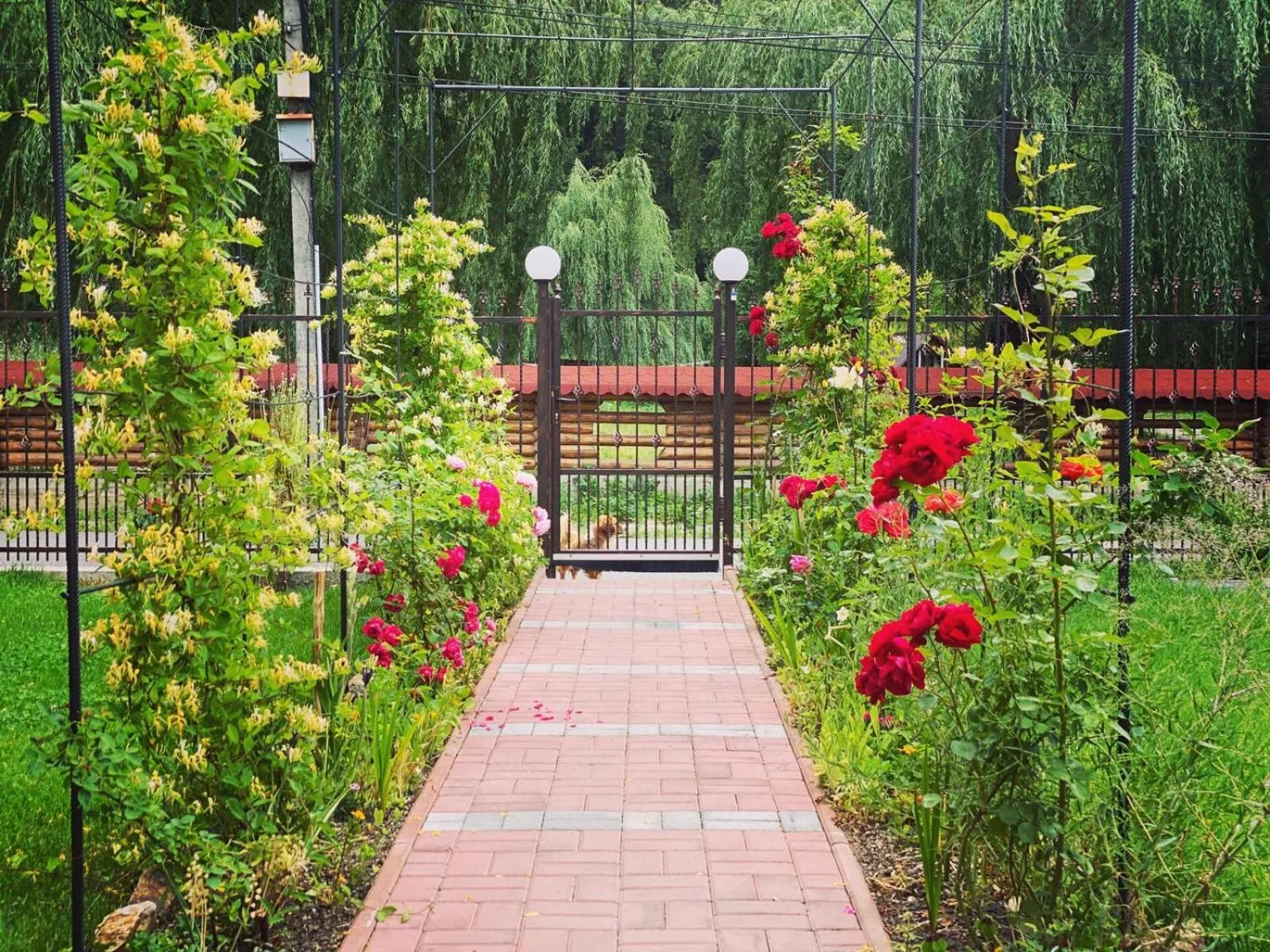 Garden in Maison Platanus