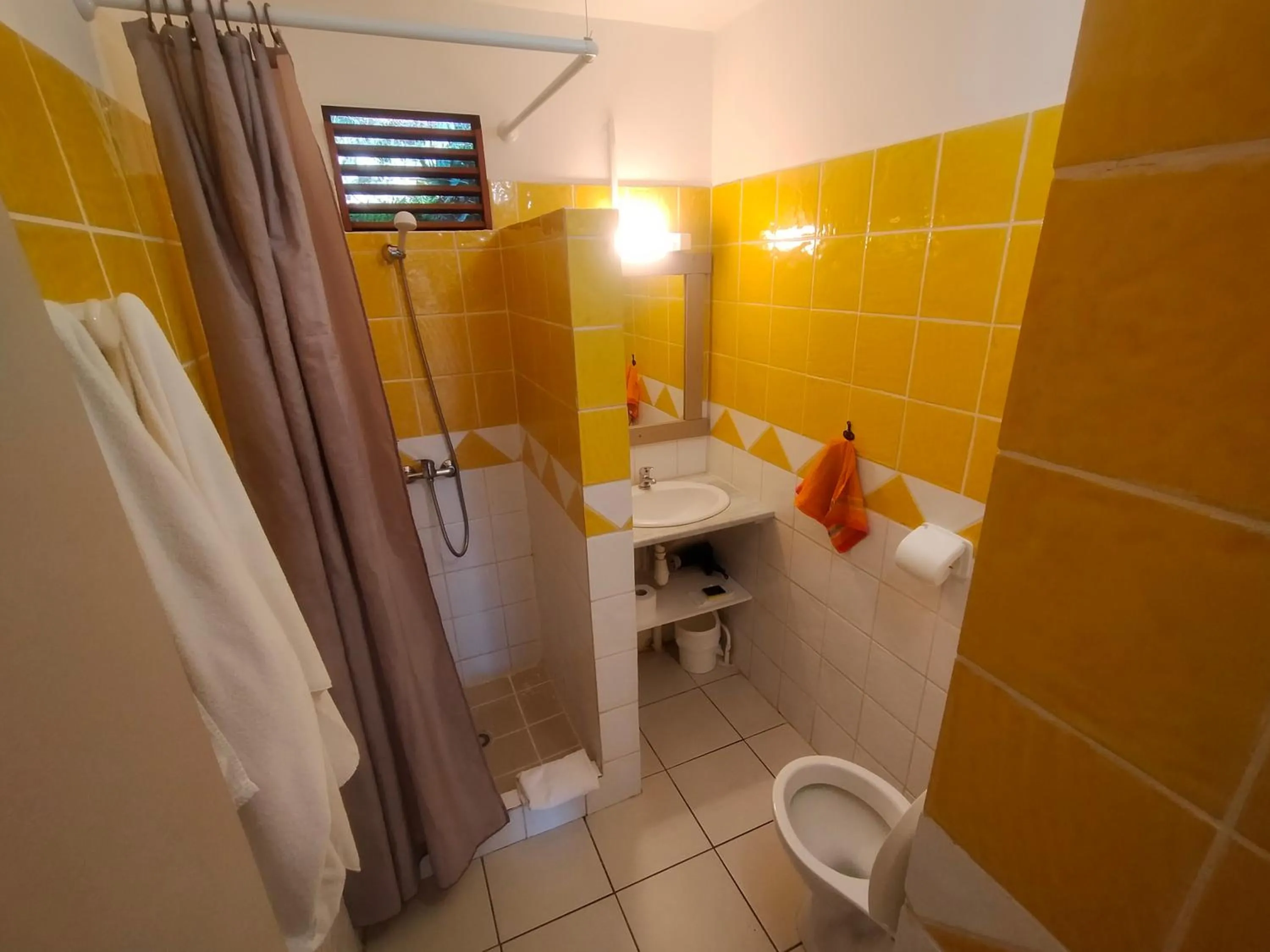 Toilet in Ti Village Creole