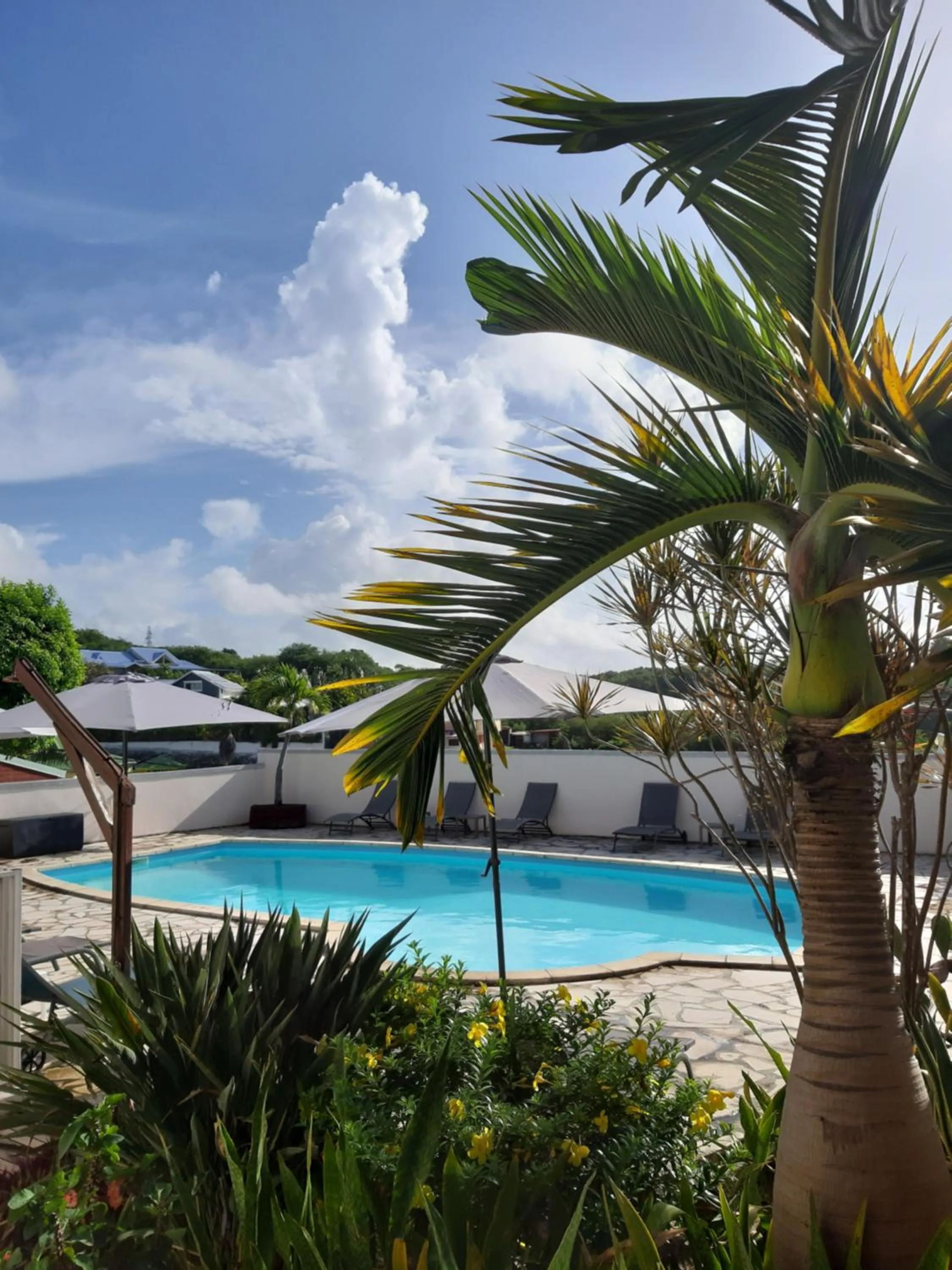 Garden in Ti Village Creole