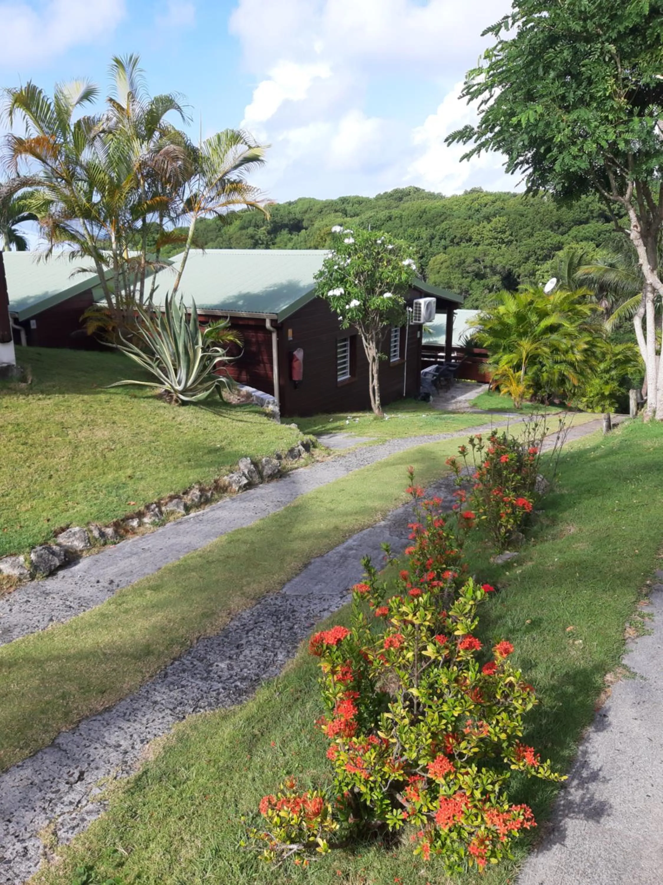 Garden in Ti Village Creole