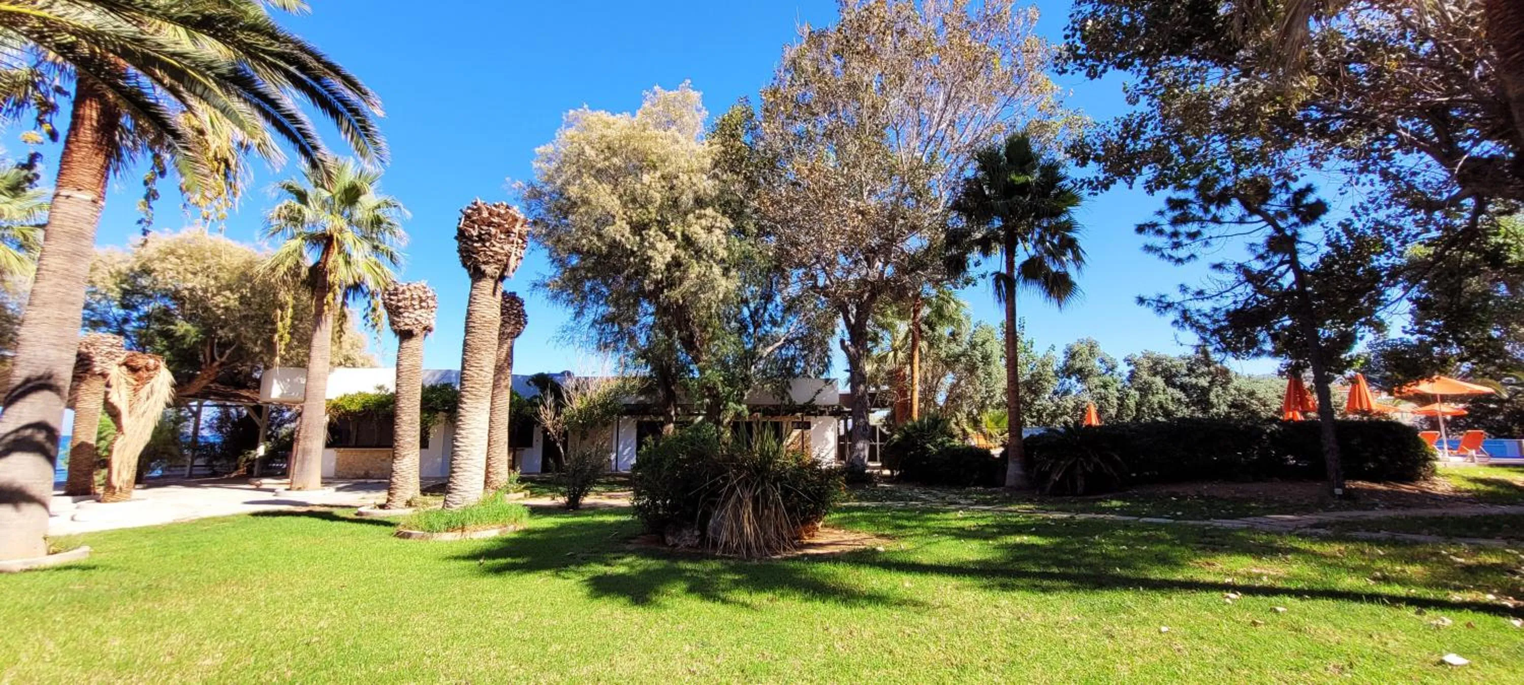 Garden in Marita's Apartments