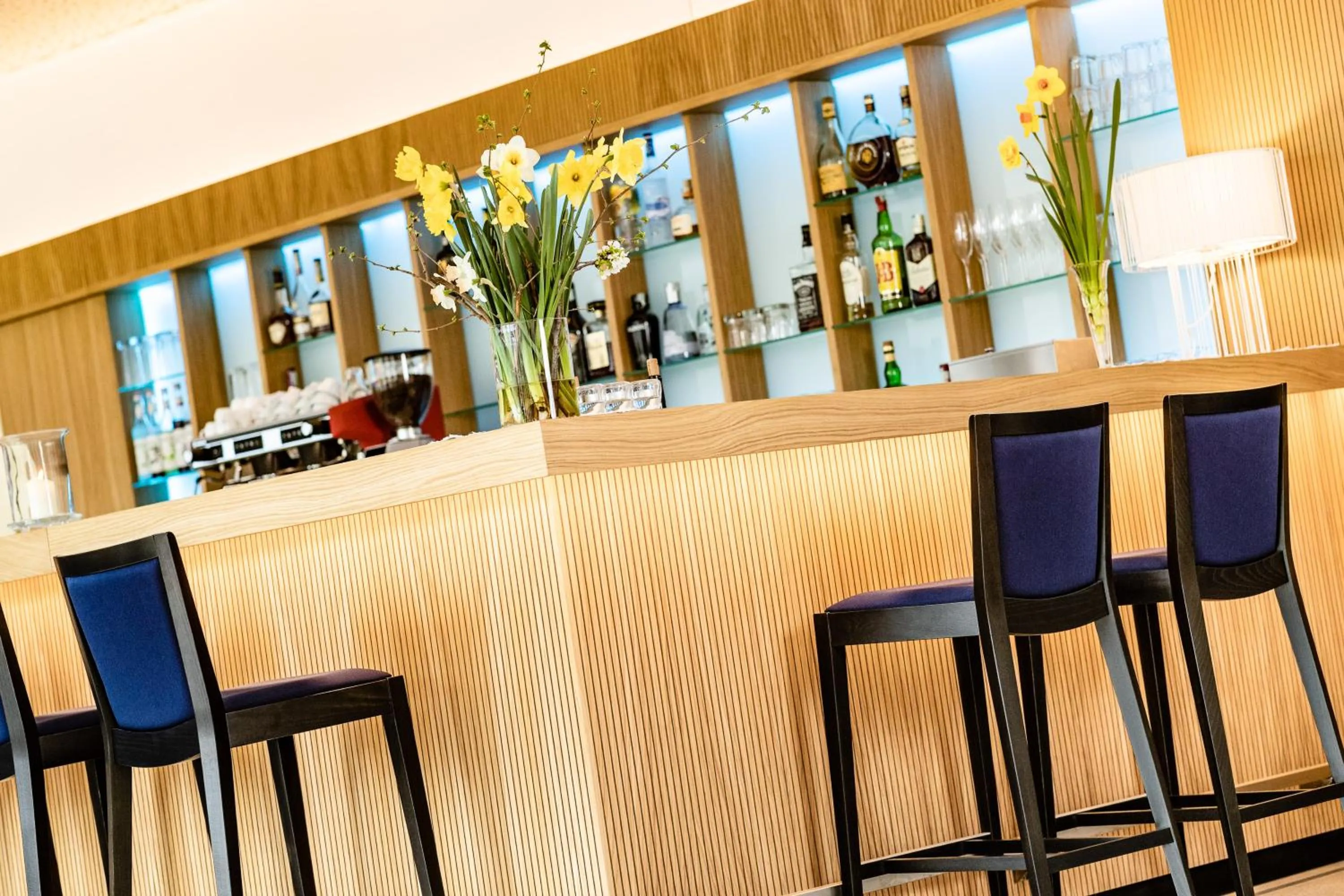 Lounge or bar in Hotel Thalhof am See