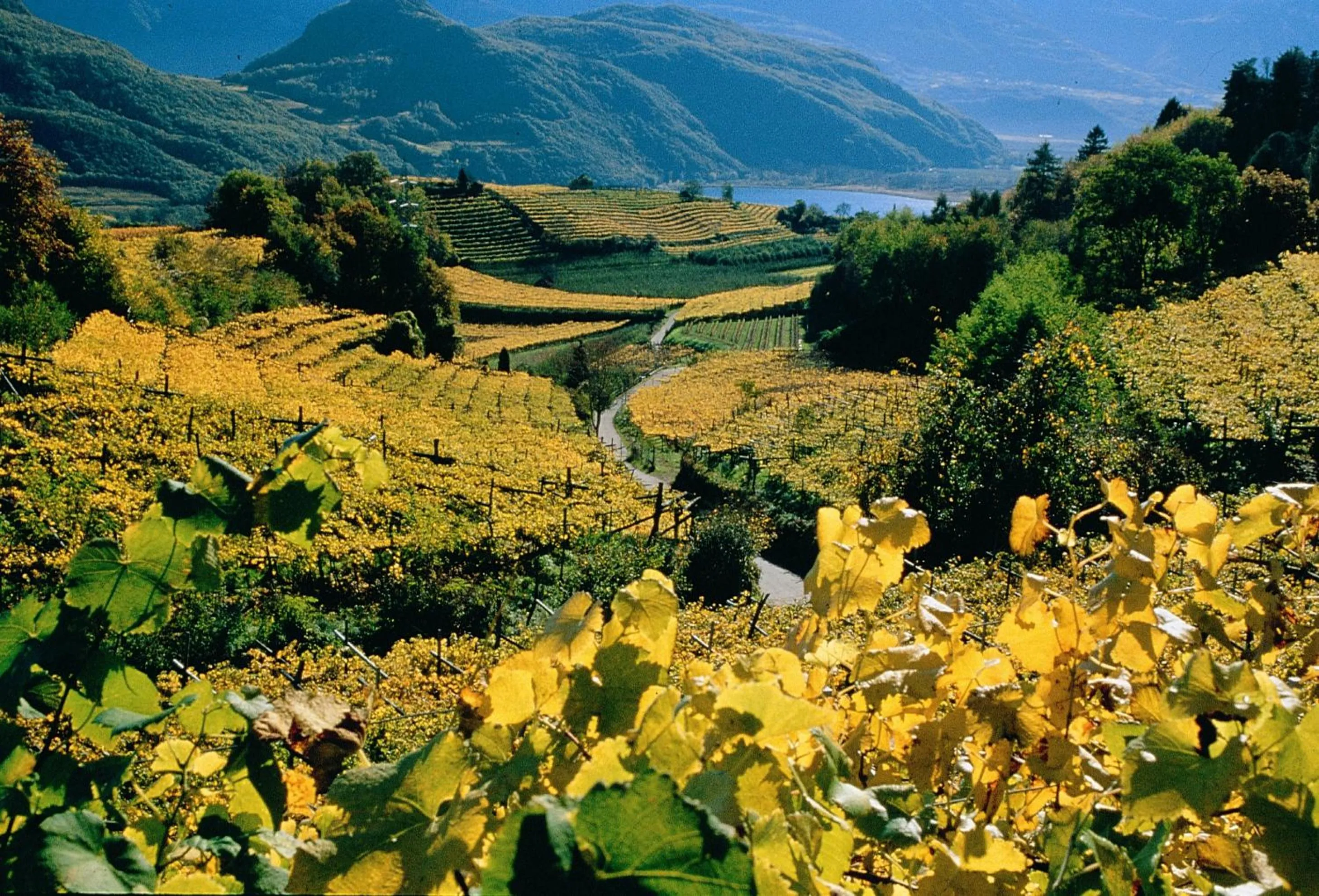 Area and facilities in Hotel Thalhof am See