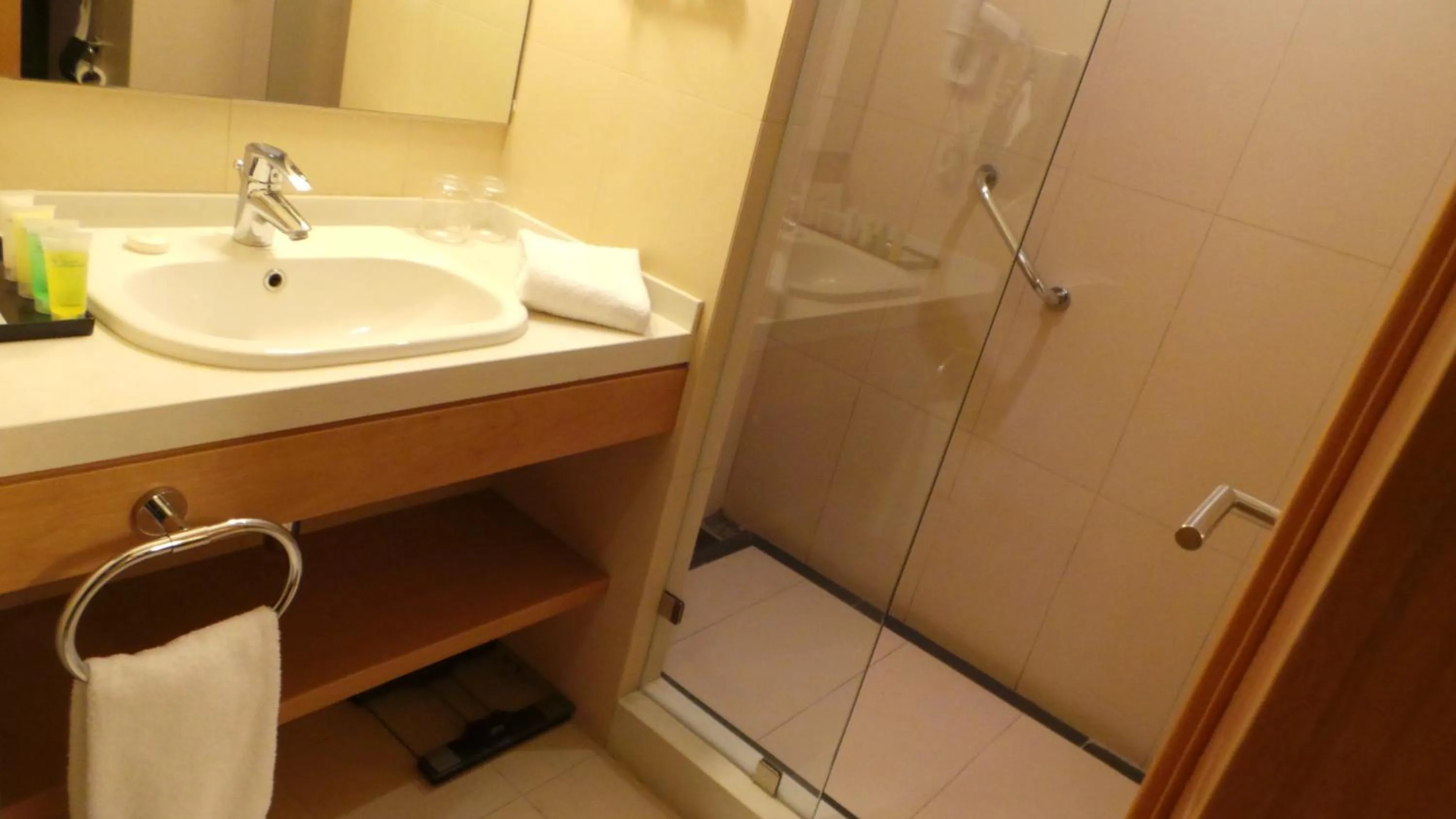 Bathroom in Amman Airport Hotel