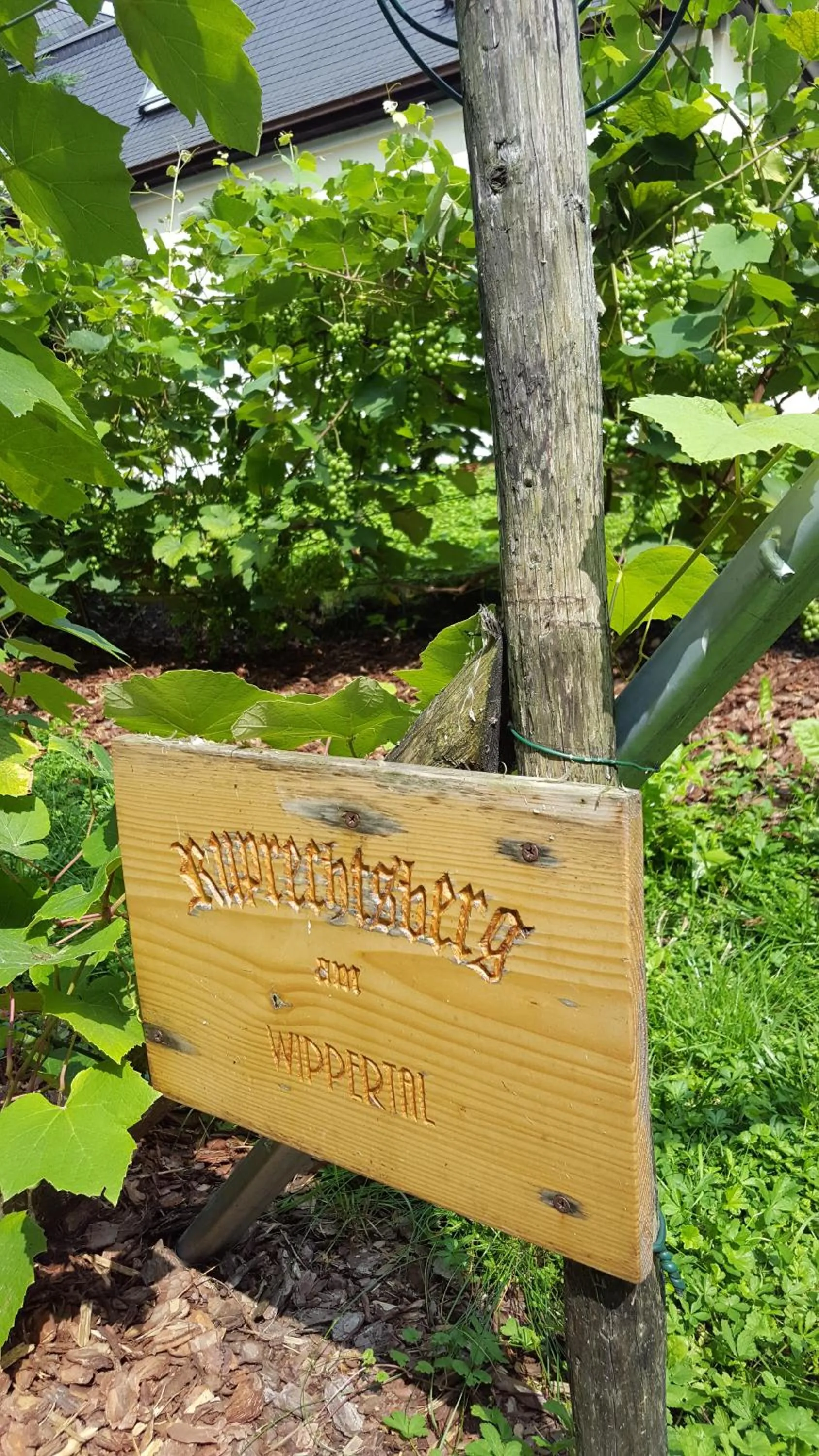 Garden in Hotel Wippertal - voll klimatisiert