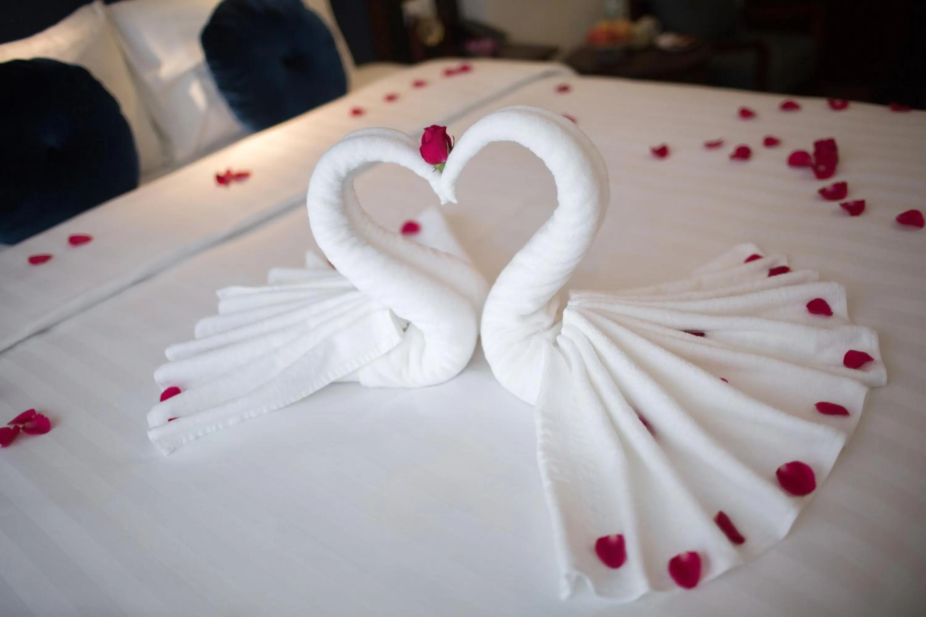 Decorative detail, Bed in Serene Boutique Hotel & Spa