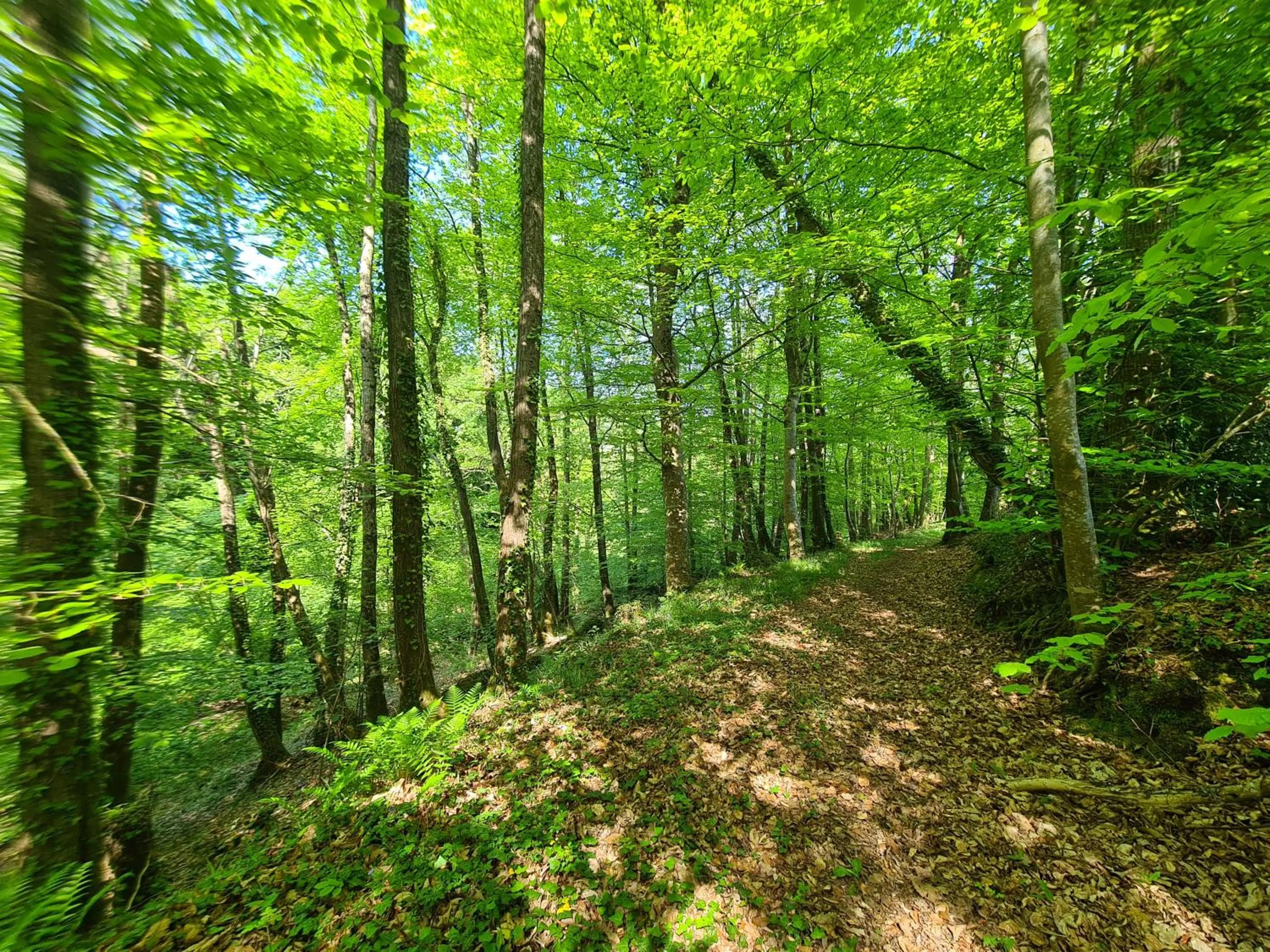 Natural landscape in Kêr Neizh Breizh - Gîtes de Charme - Le Petit Châtelier