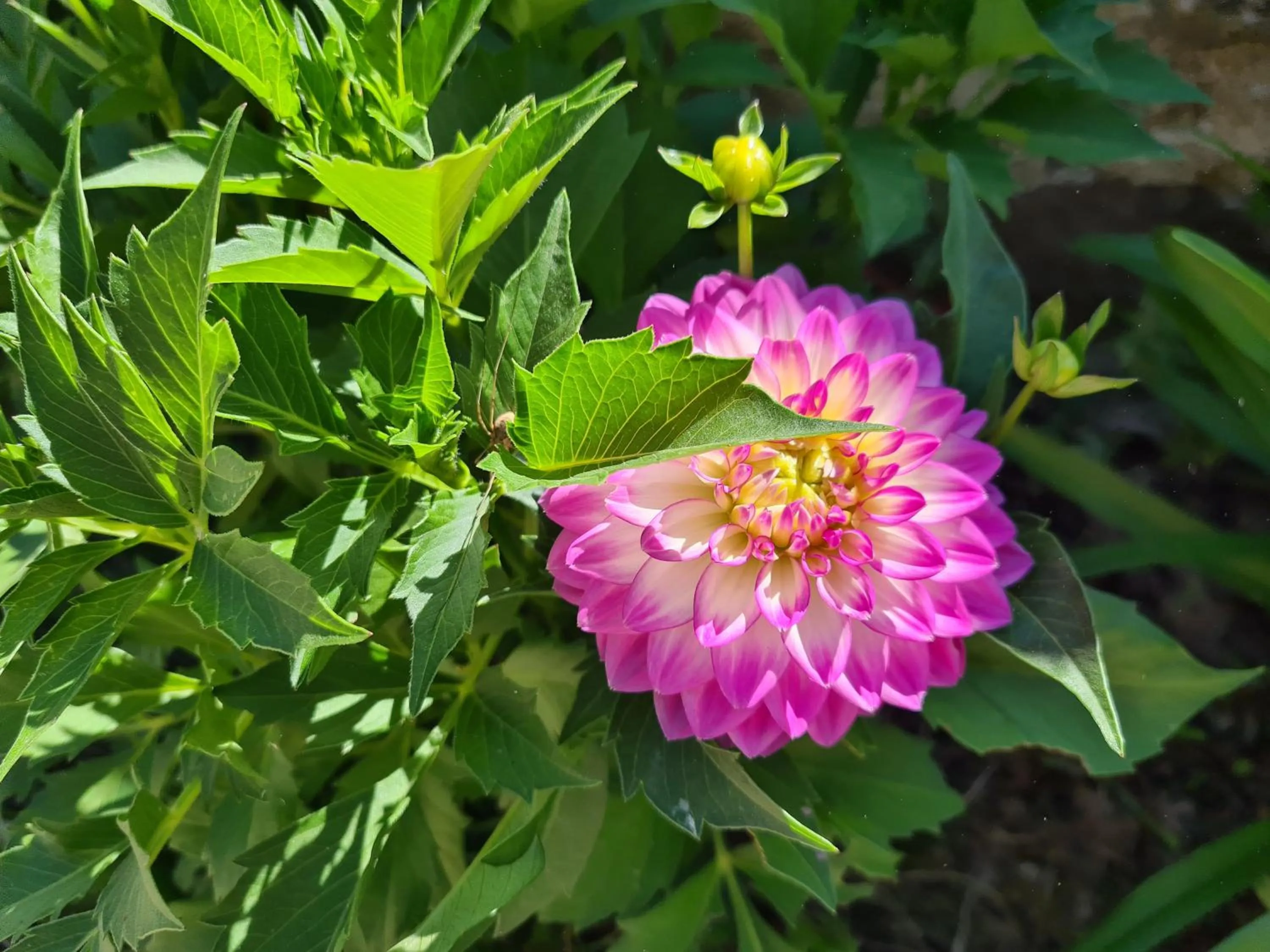 Garden in Kêr Neizh Breizh - Gîtes de Charme - Le Petit Châtelier