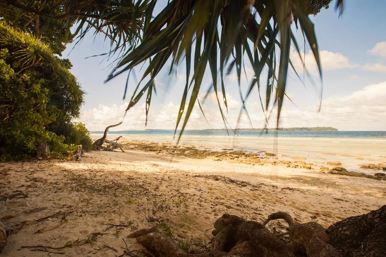 Beach in Sea Shell Samssara
