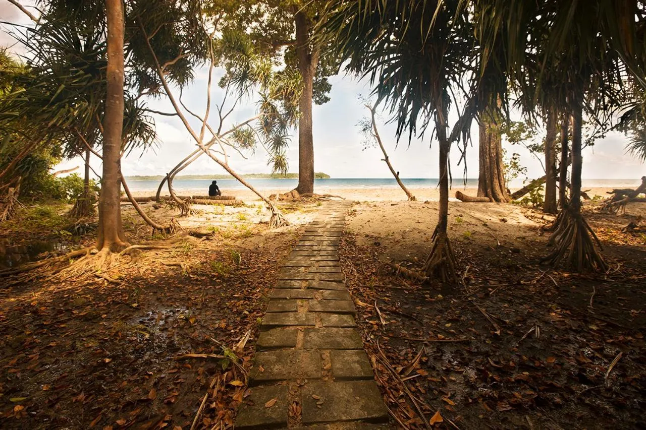 Beach in Sea Shell Samssara