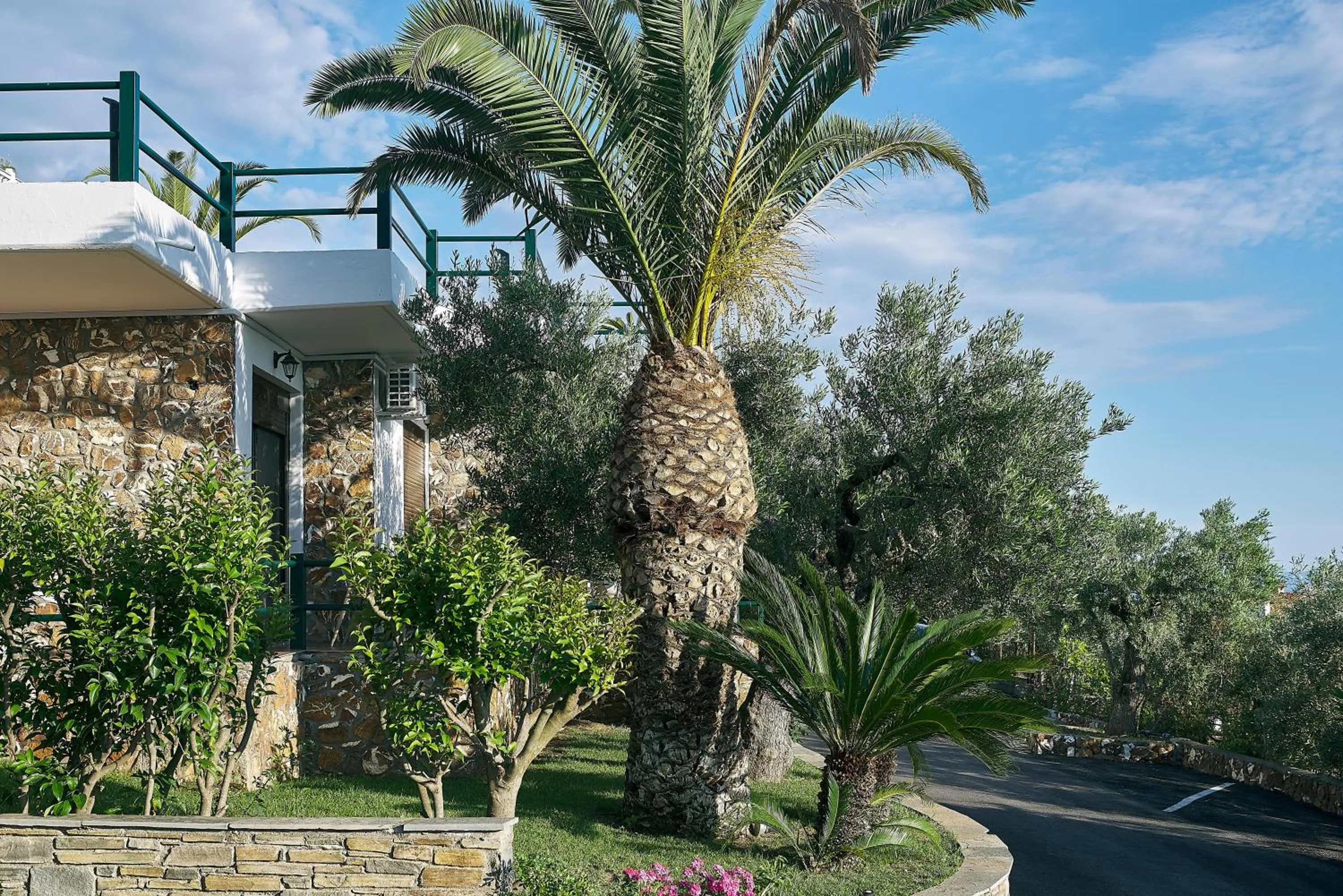 Garden in Glavas Inn Hotel