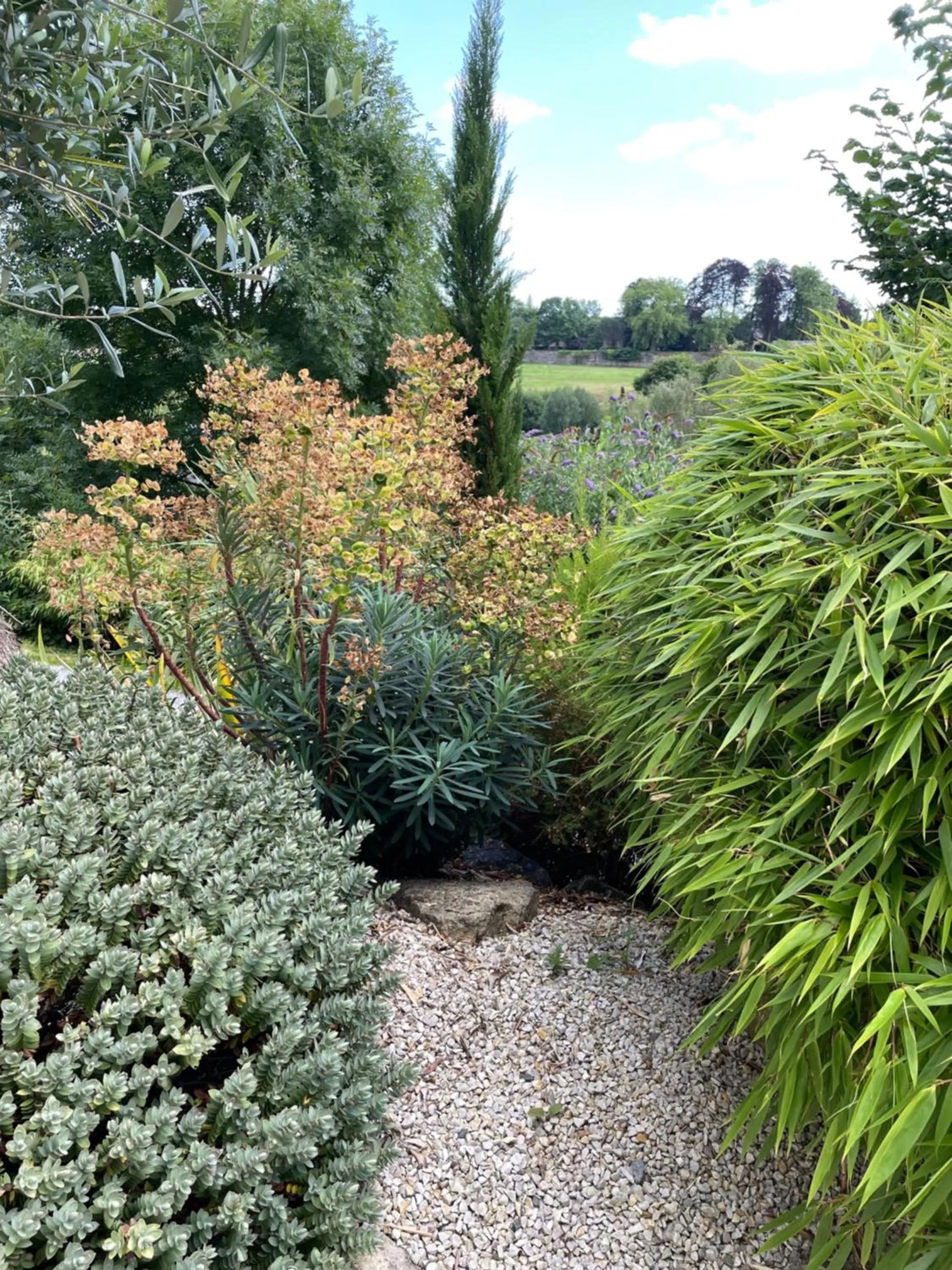 Garden view in Les sapins verts -inspiration deluxe