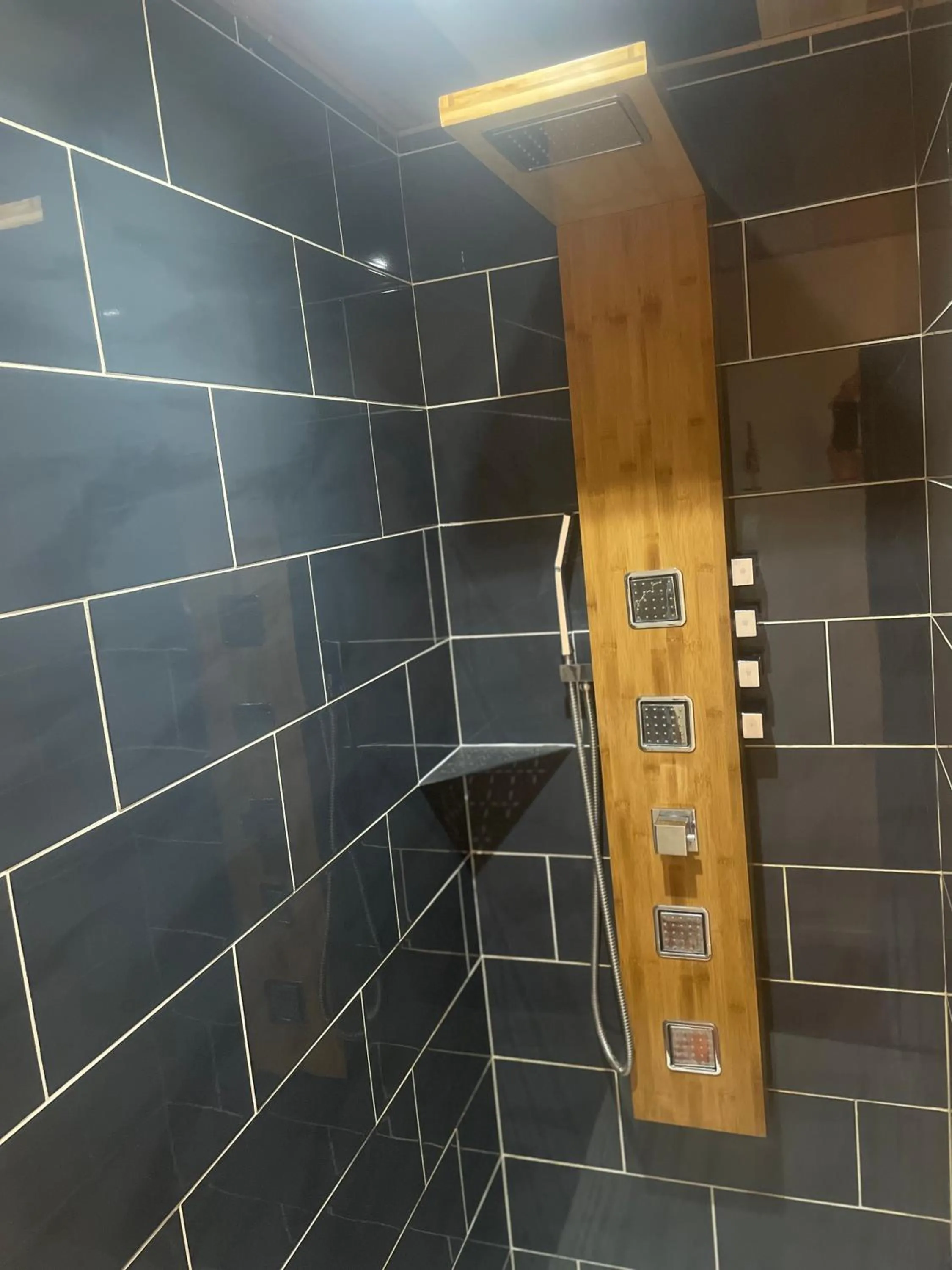 Shower in Les sapins verts -inspiration deluxe