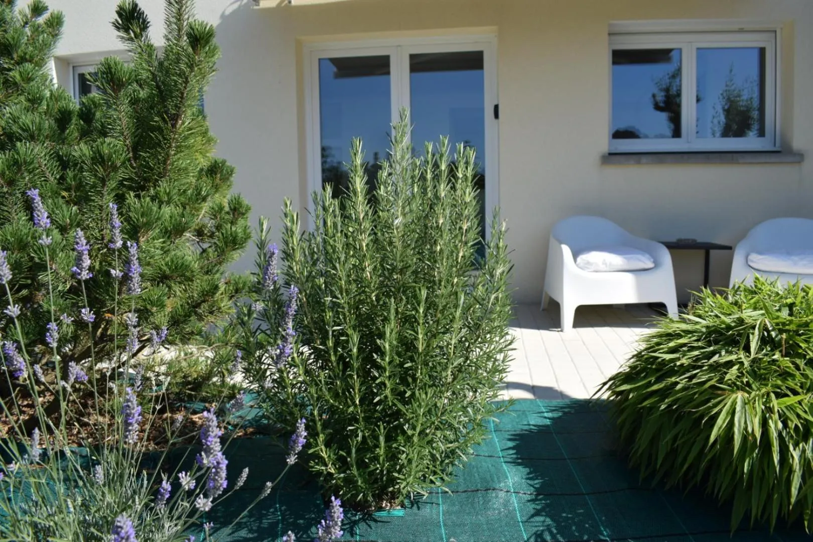 Garden view in Les sapins verts -inspiration deluxe