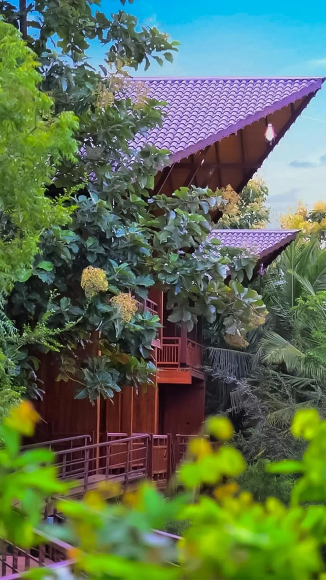 View (from property/room) in Silver crown nature resort