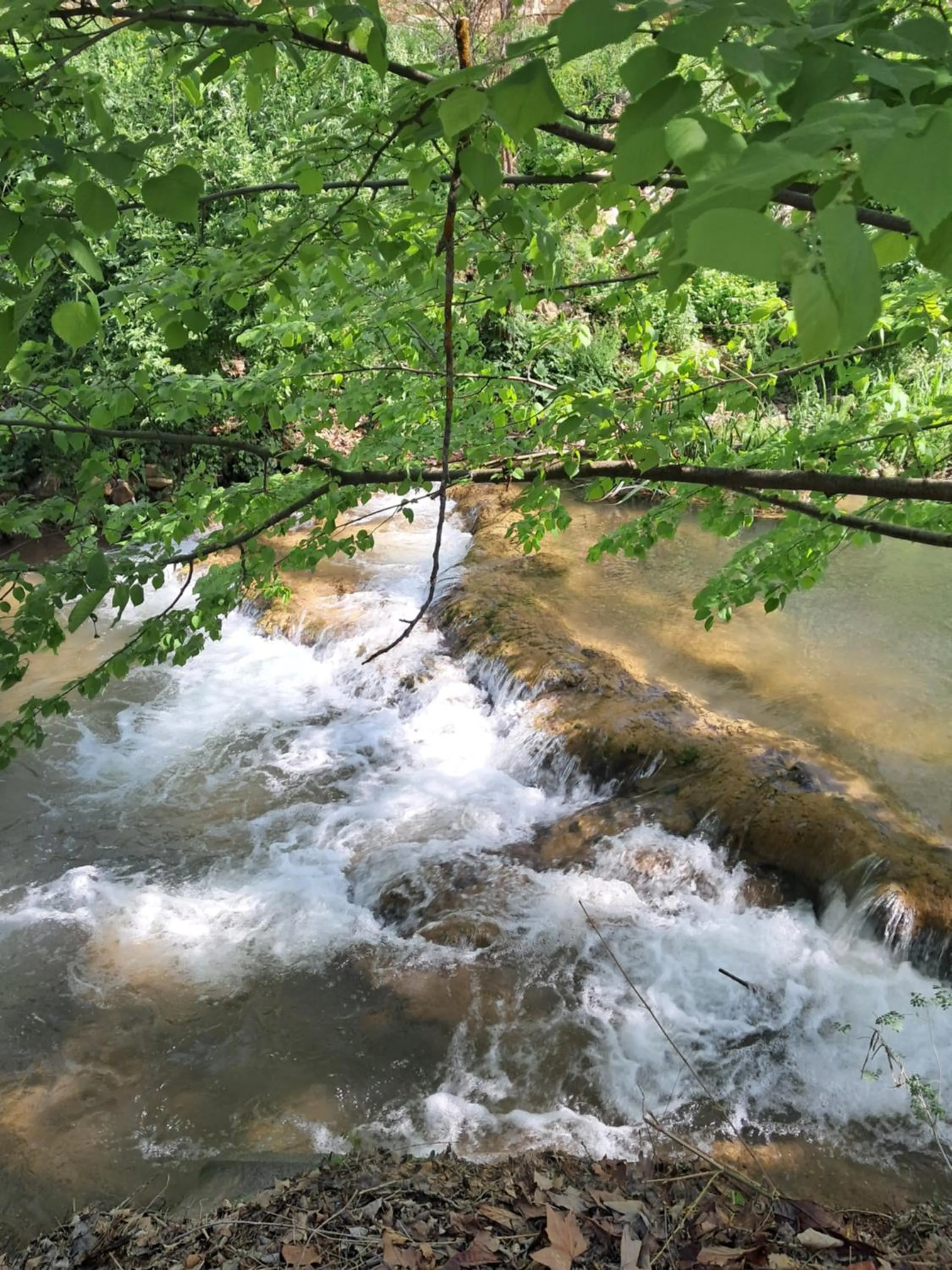 Nearby landmark in Le Vieux Moulin de Jouques