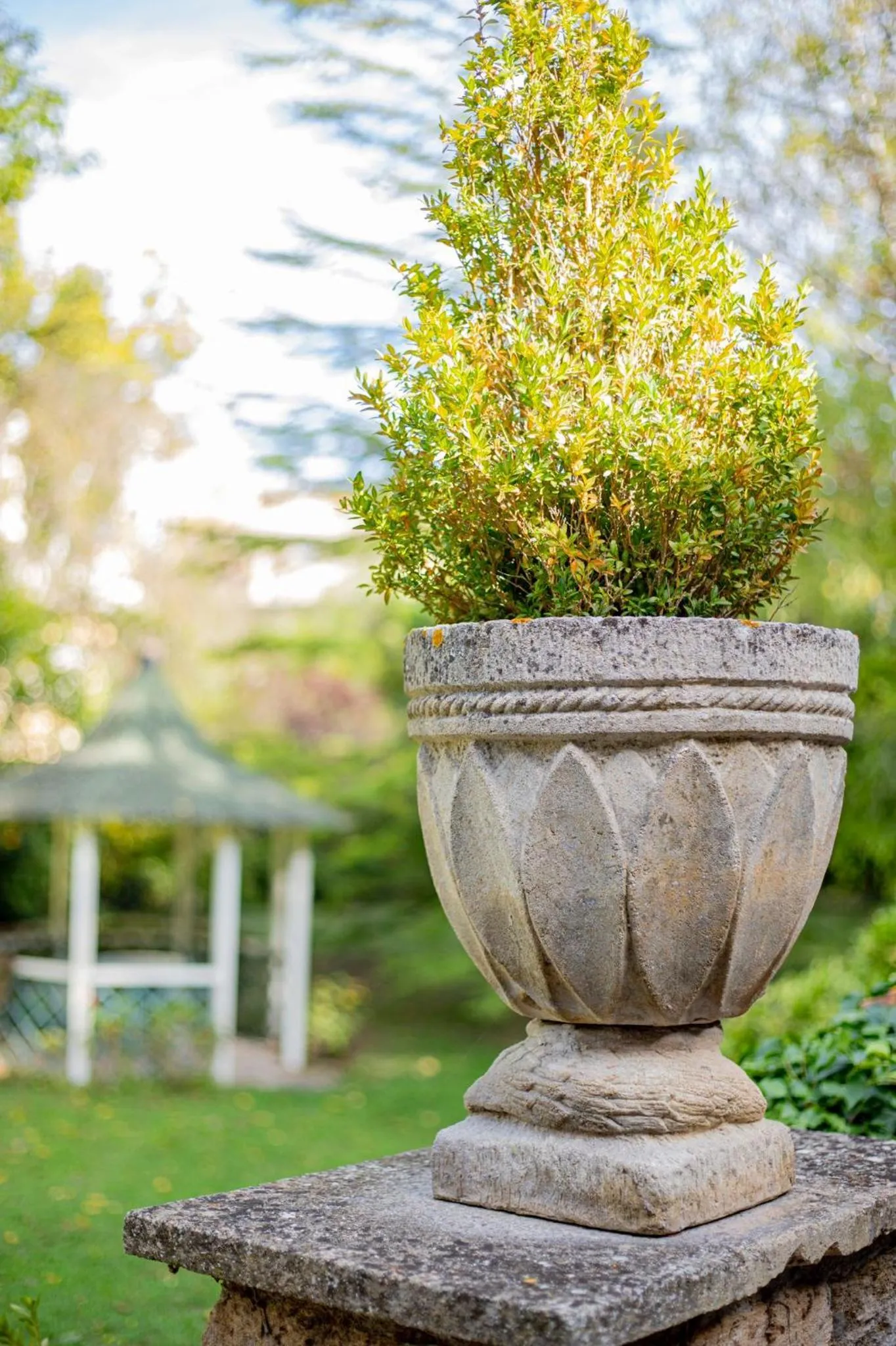 Garden in Le Vieux Moulin de Jouques