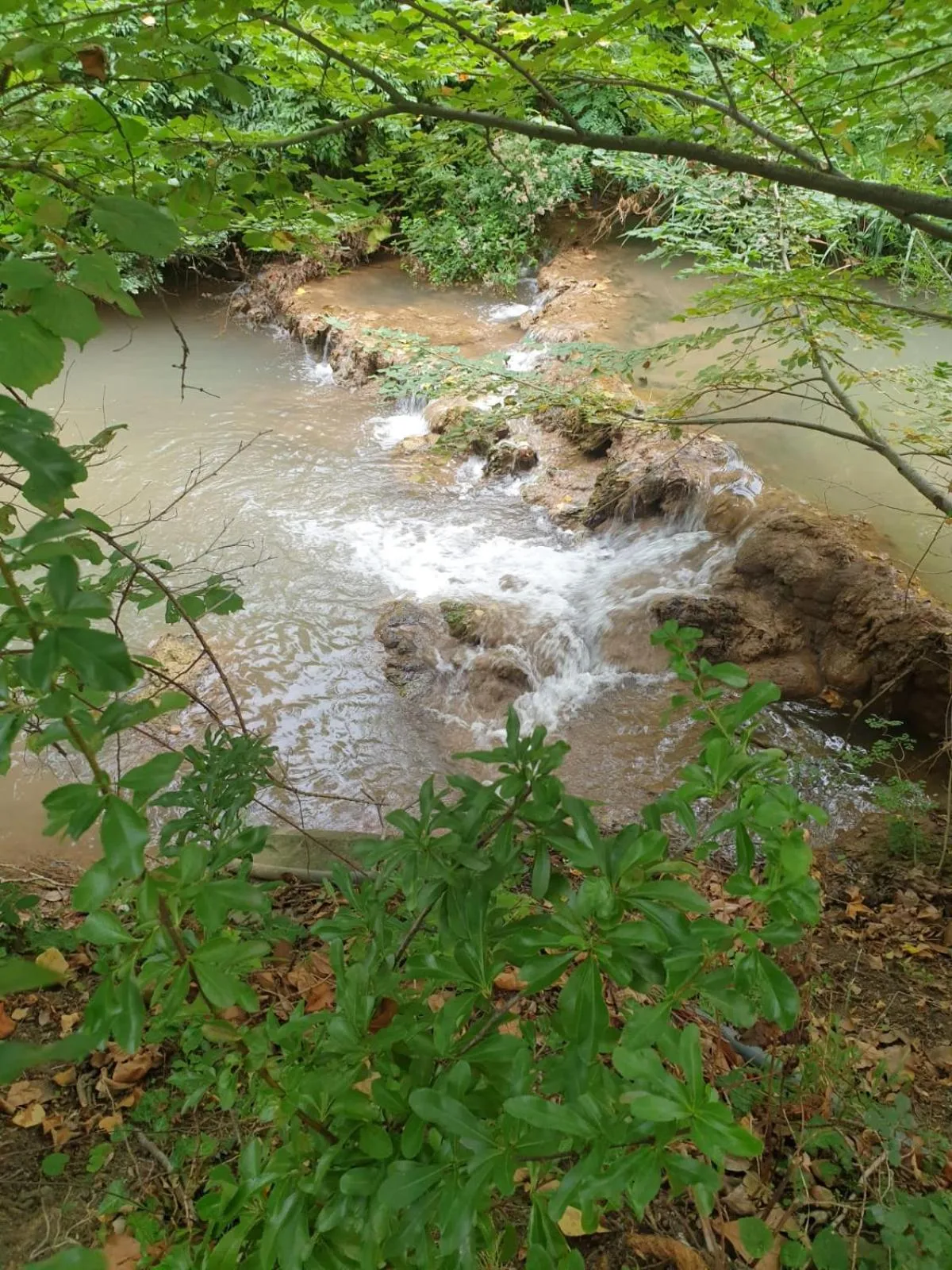 Natural landscape in Le Vieux Moulin de Jouques